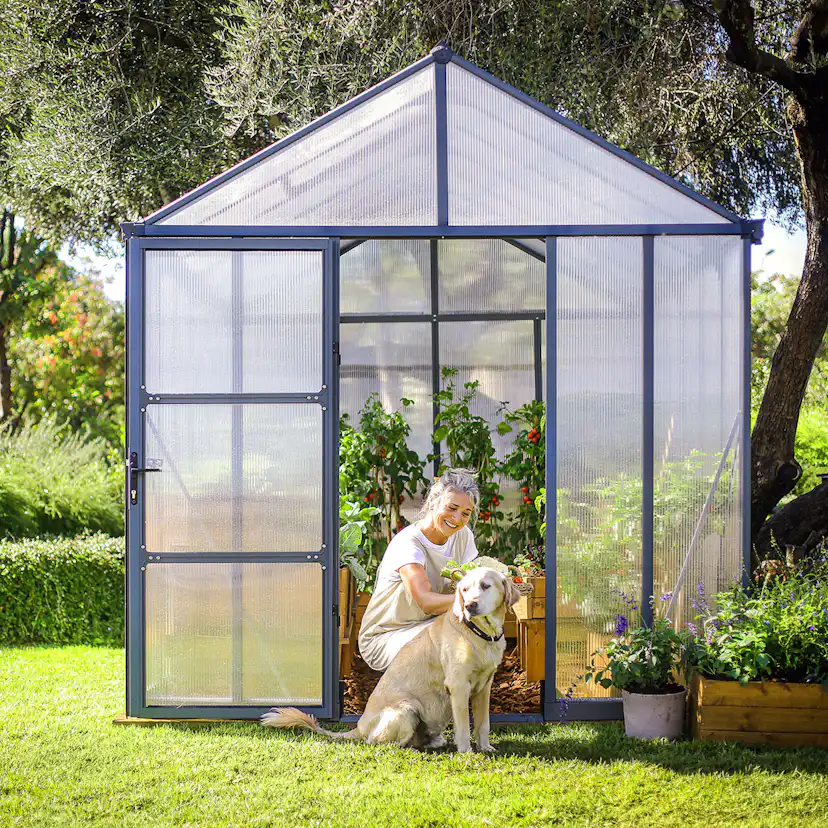 Växthus Canopia by Palram Glory 9,2 m² Mörkgrå