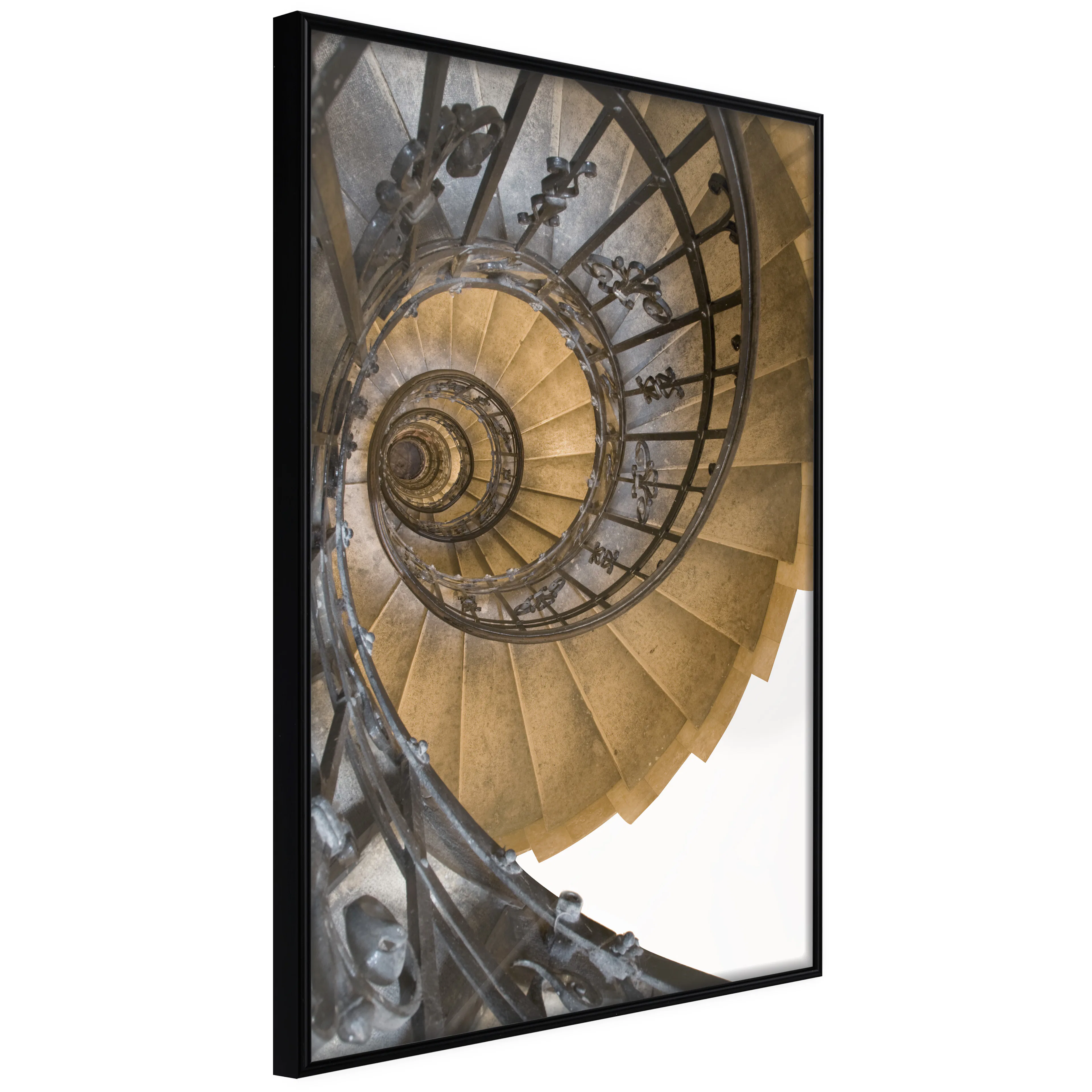 Affisch - Architectural Snail [Poster] 40x60 Svart ram, 40x60 cm