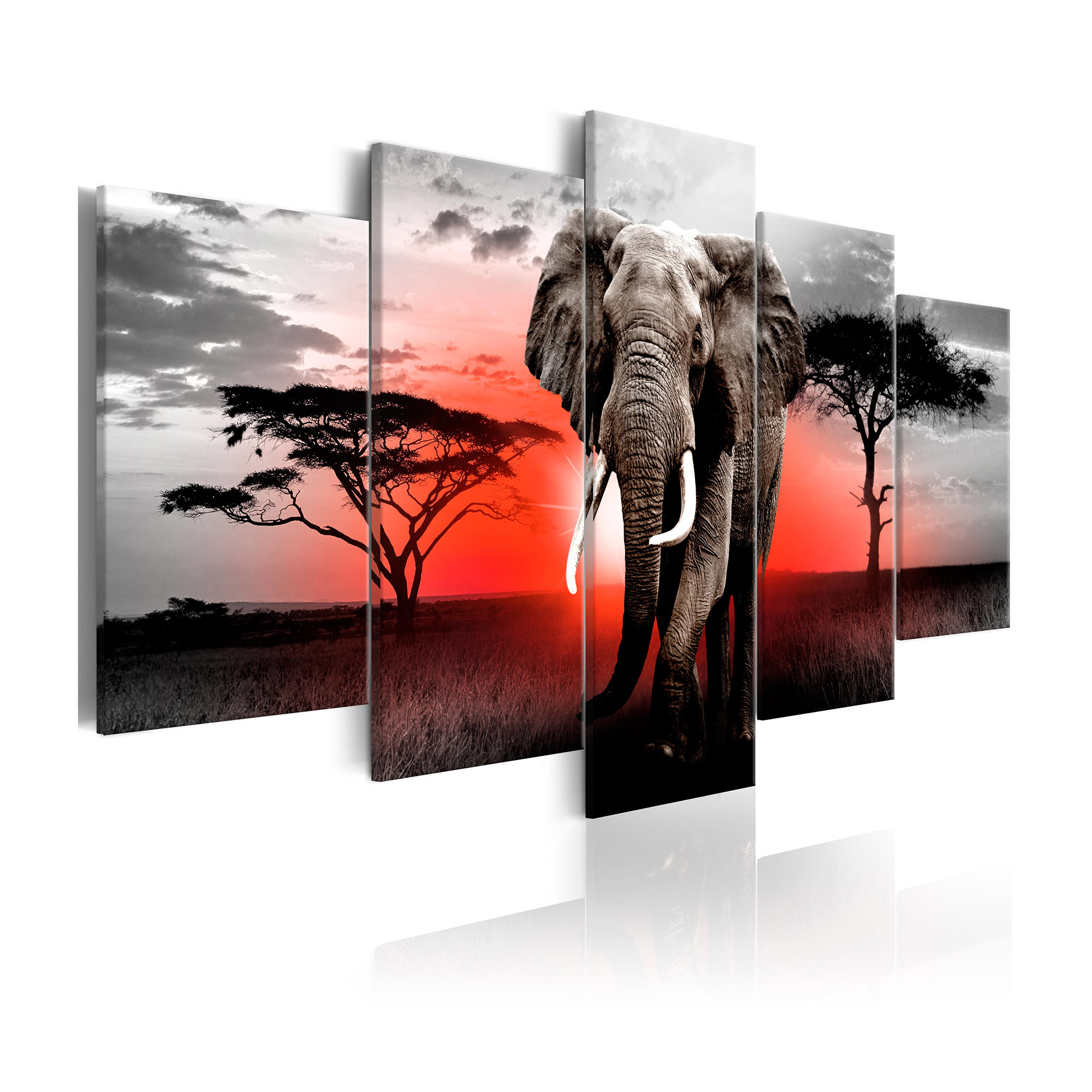 Tavla Arkiio Lonely Elephant