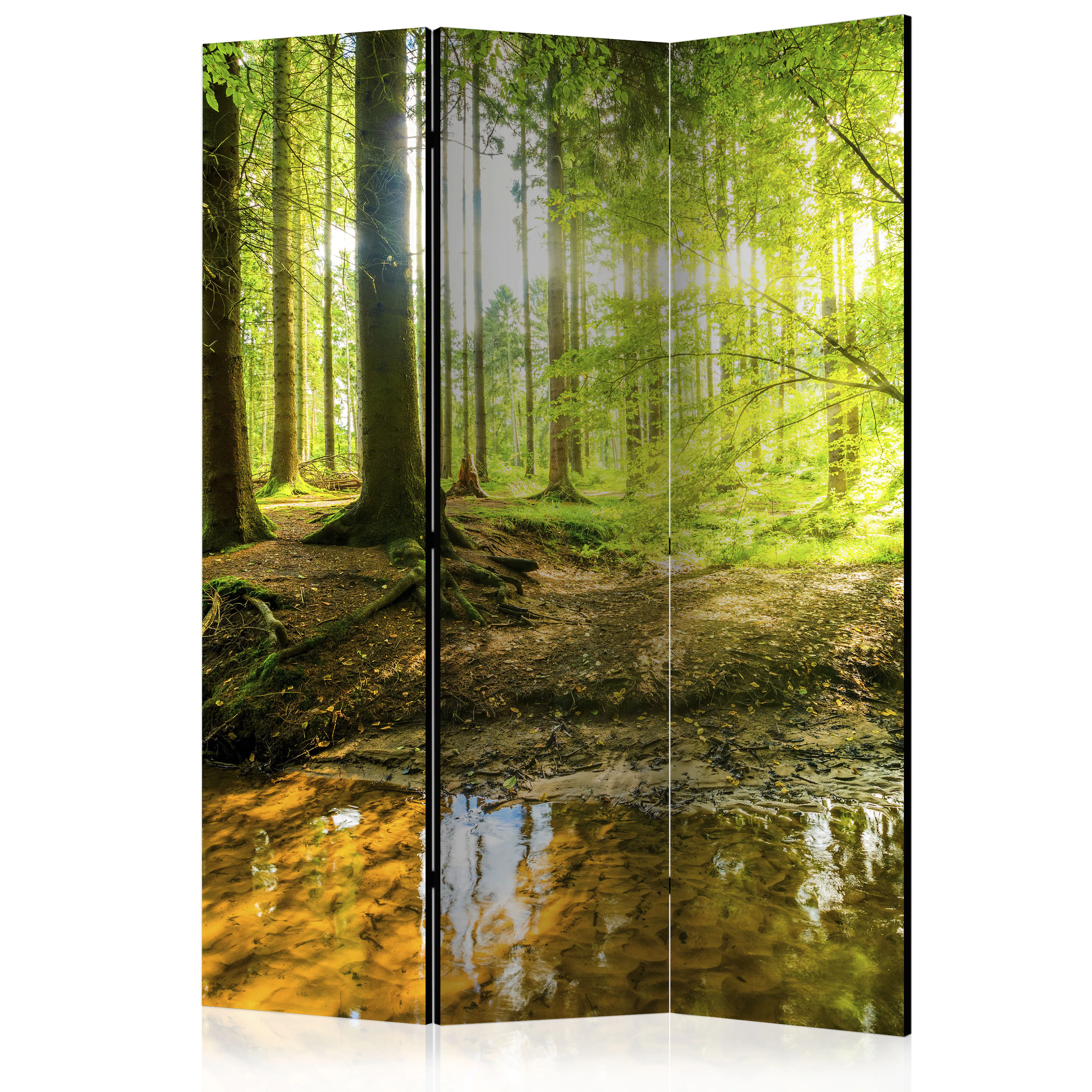 Rumsavdelare Arkiio Forest Lake 135x172 cm