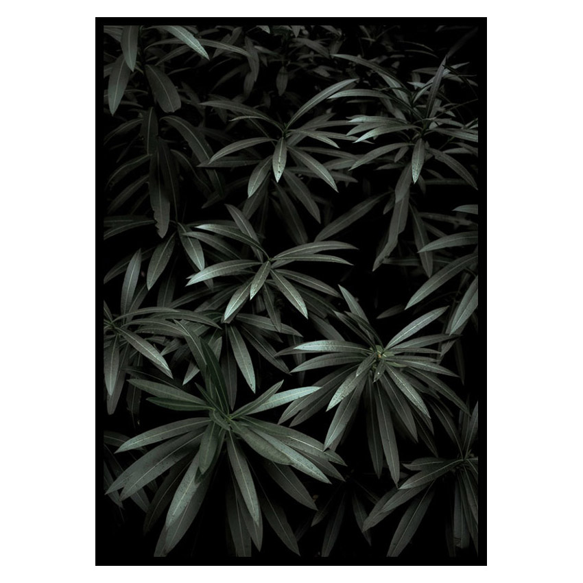 Poster Gallerix Dark Green No1