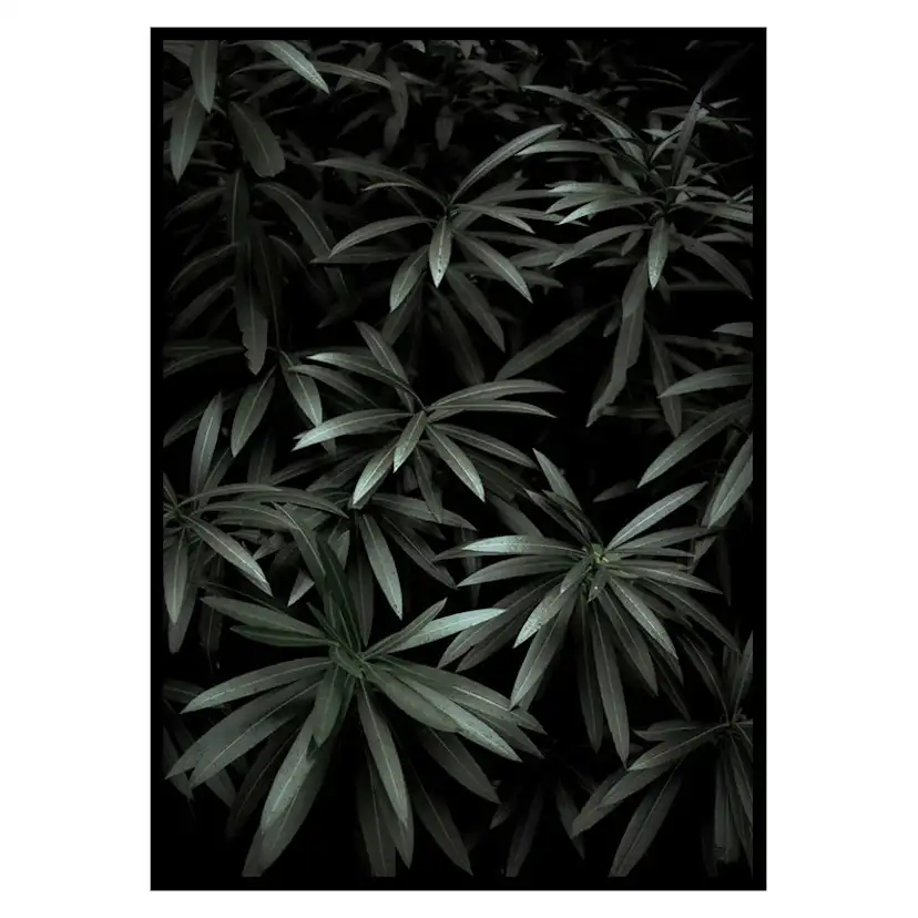 Poster Gallerix Dark Green No1