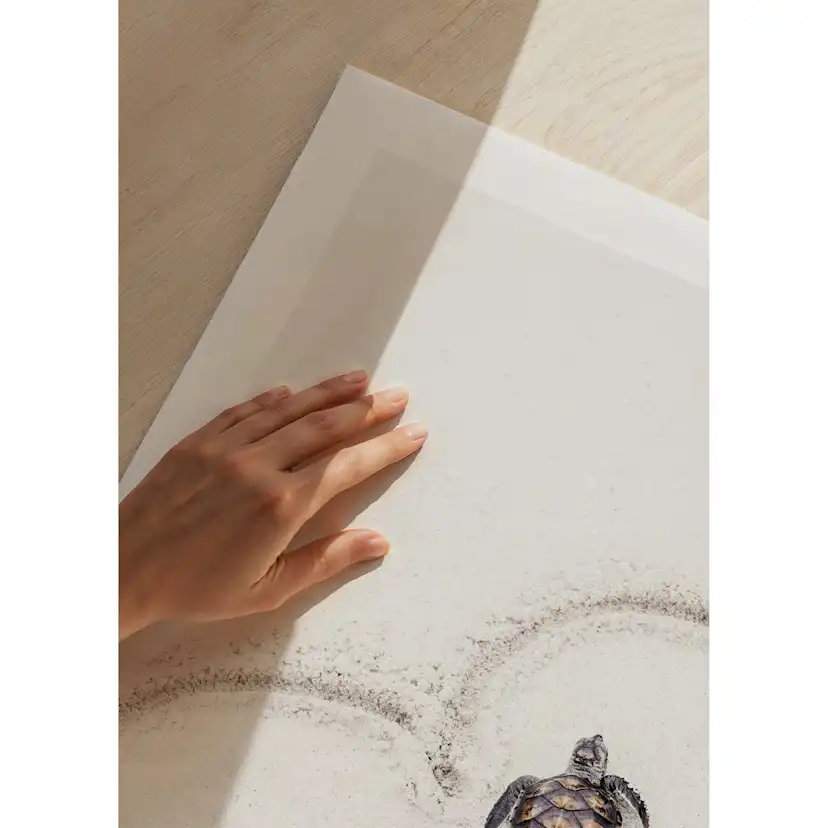 Poster Gallerix Baby Turtle On Beach