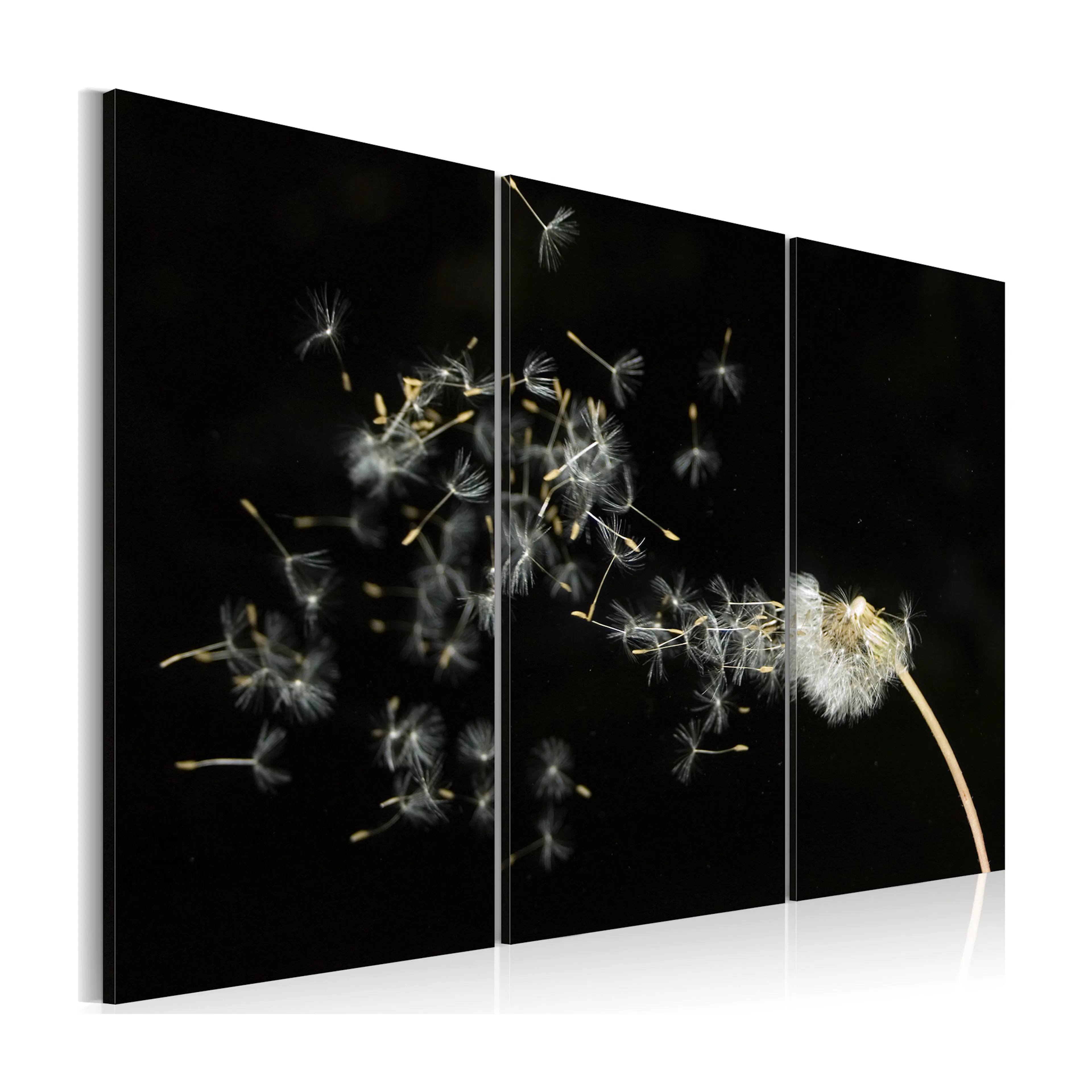 Tavla Arkiio Dandelions The Transience