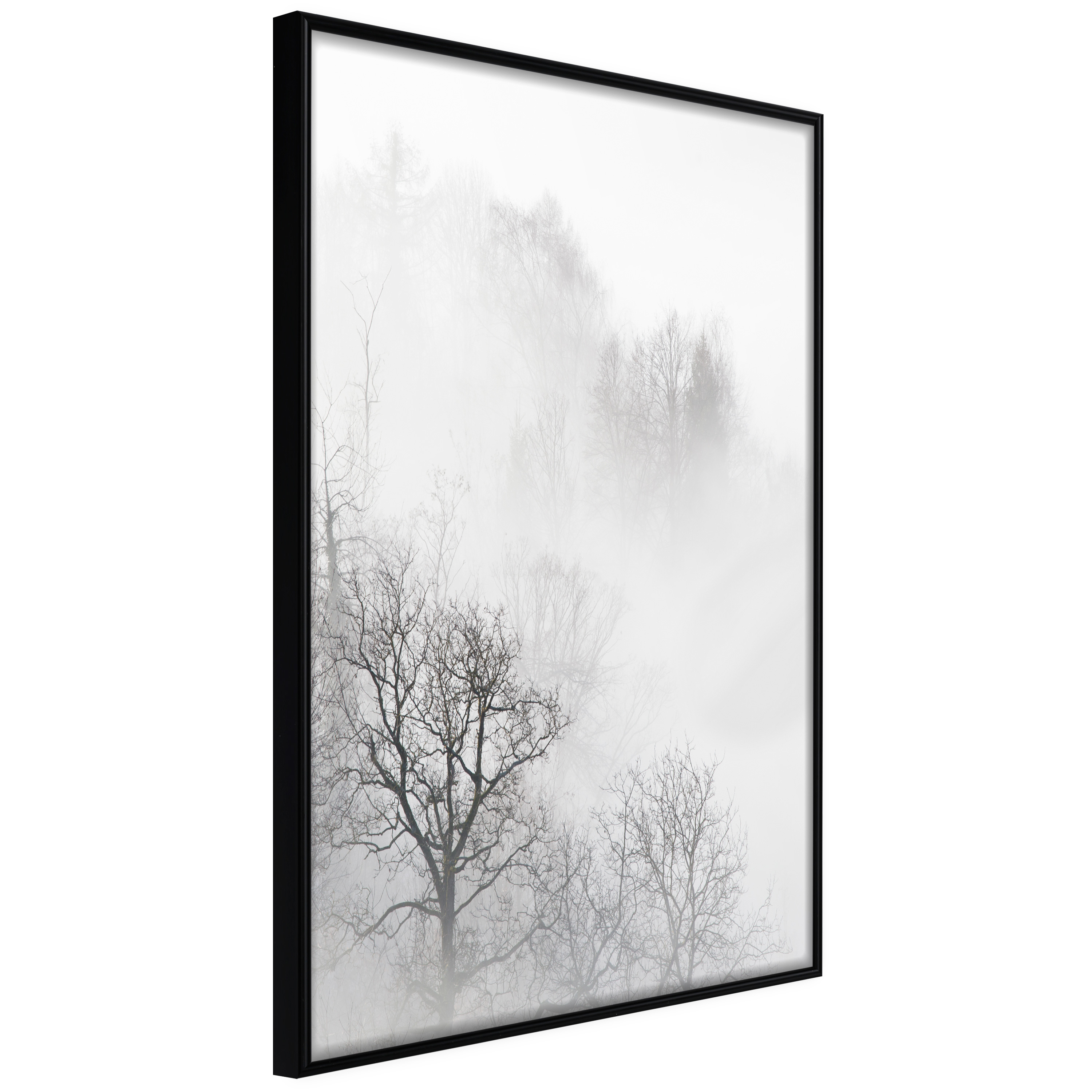 Affisch - Trees In The Fog [Poster] 20x30 Svart ram, 20x30 cm