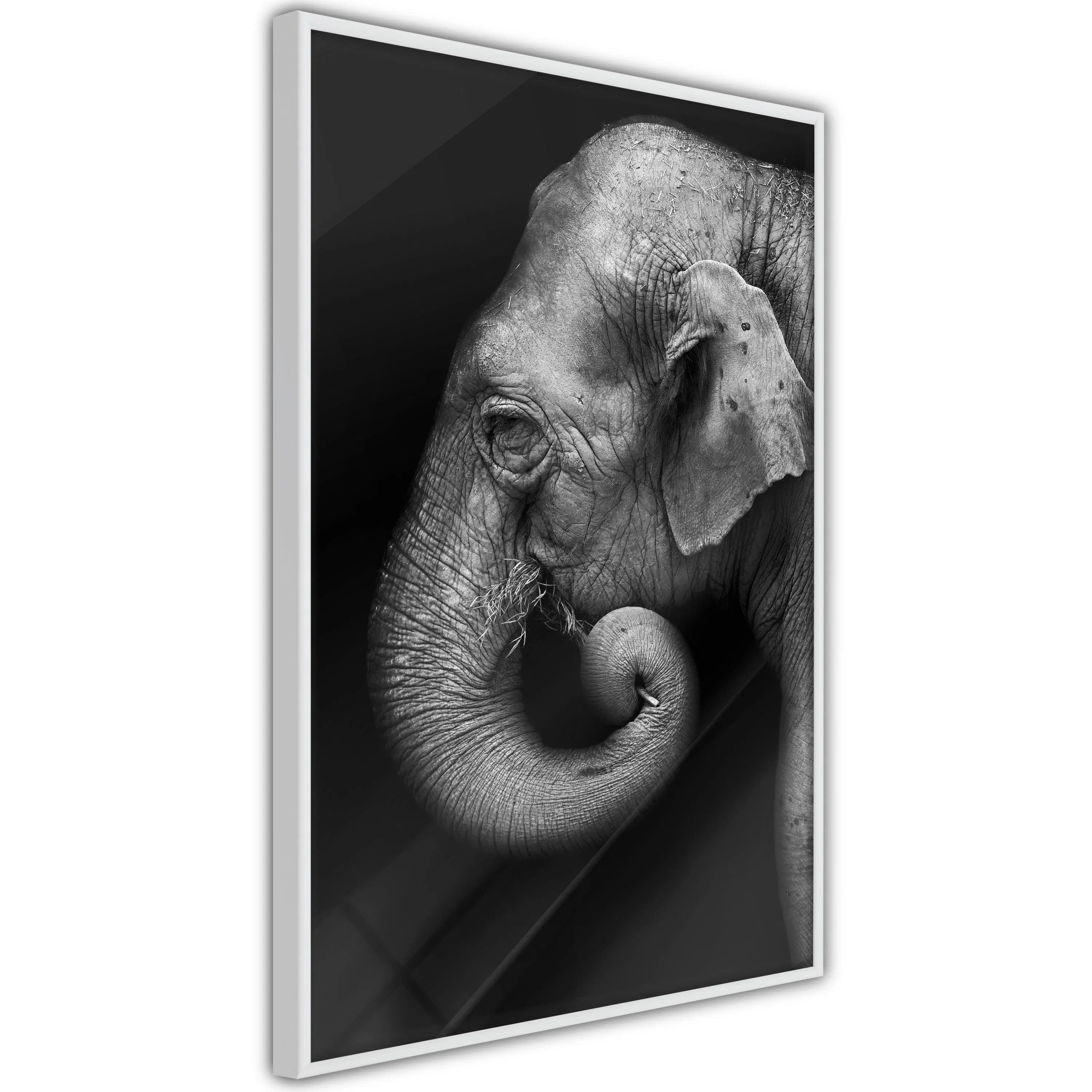 Poster Artgeist Affisch Portrait of Elephant