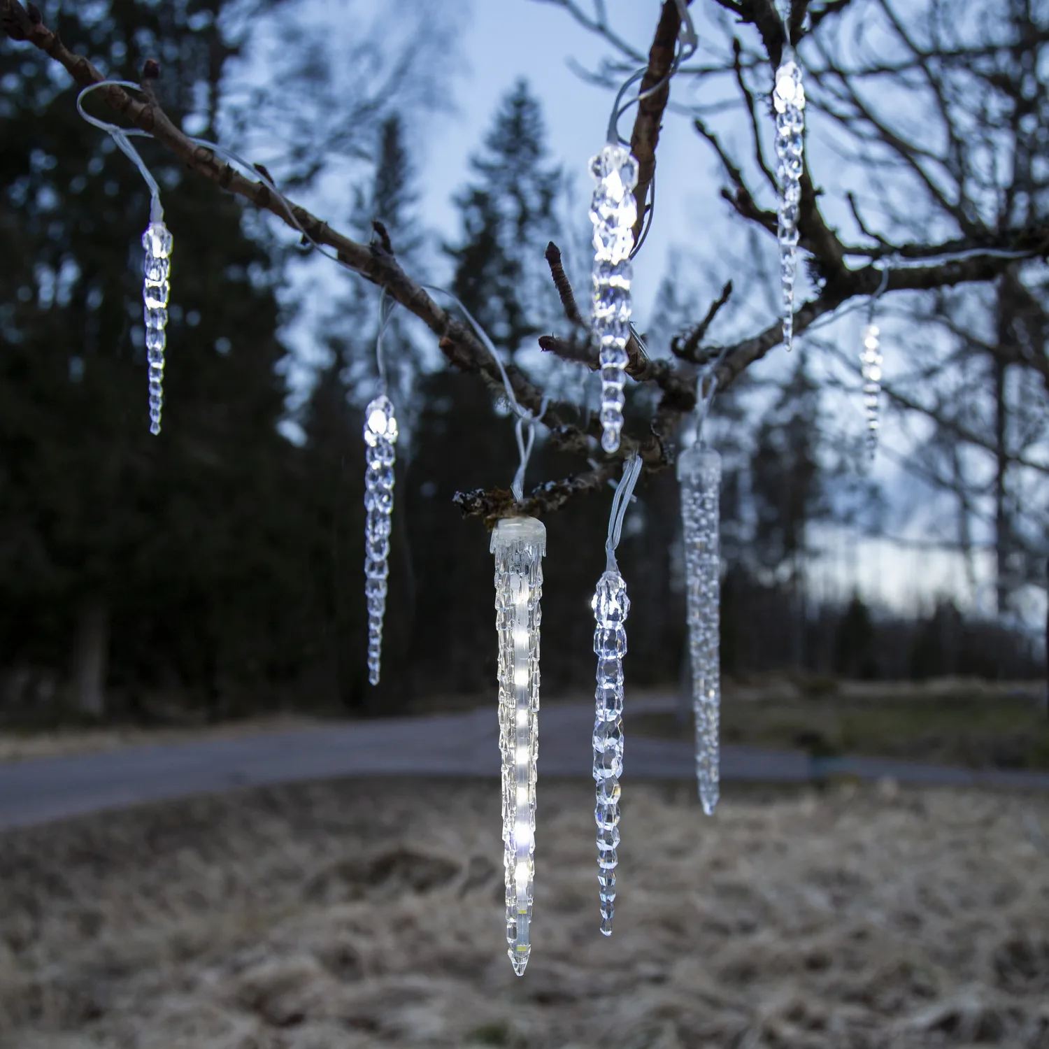 Istappsslinga Star Trading Gelido 24 st