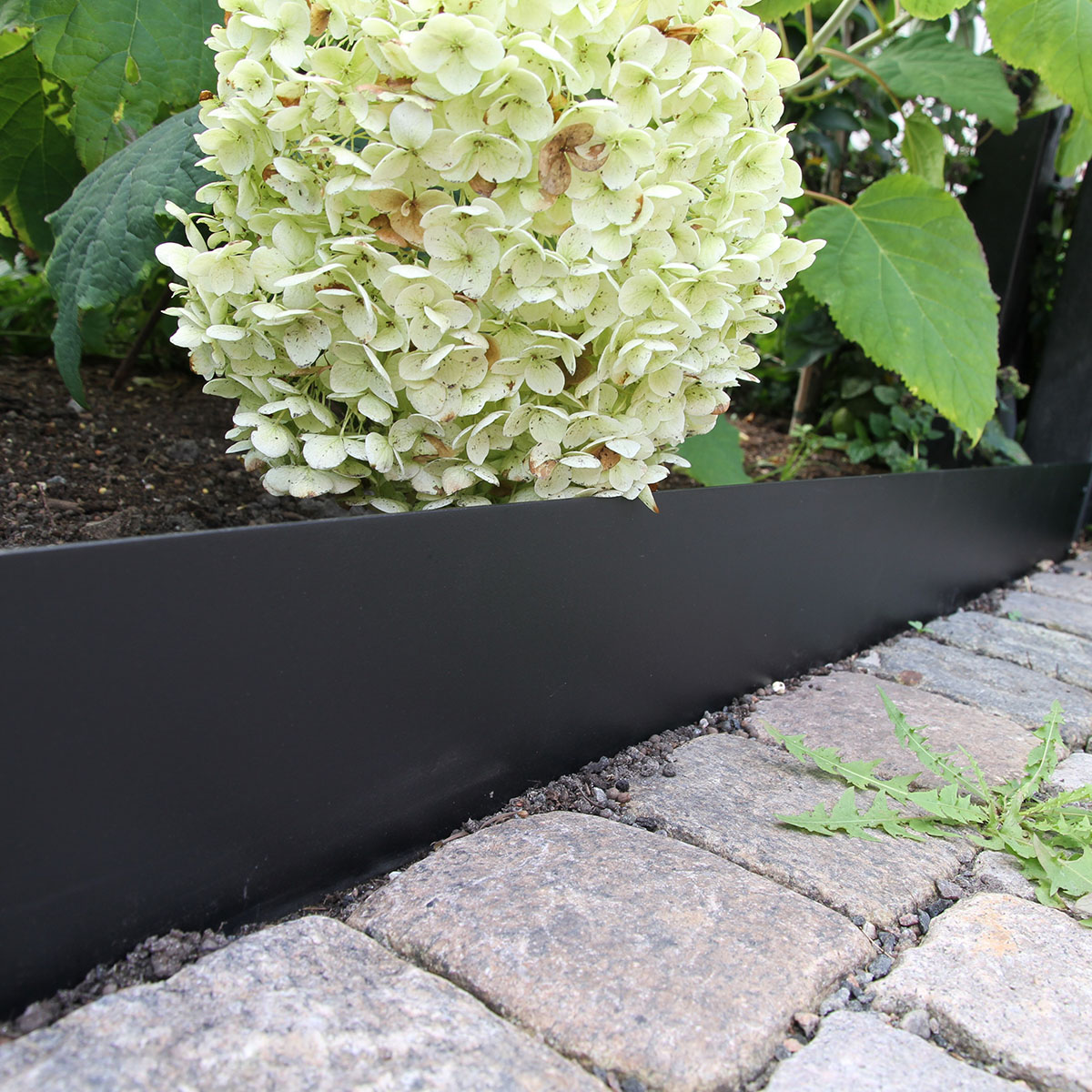 Planteringskant Flexigarden Svart 180 mm Skarvplåt