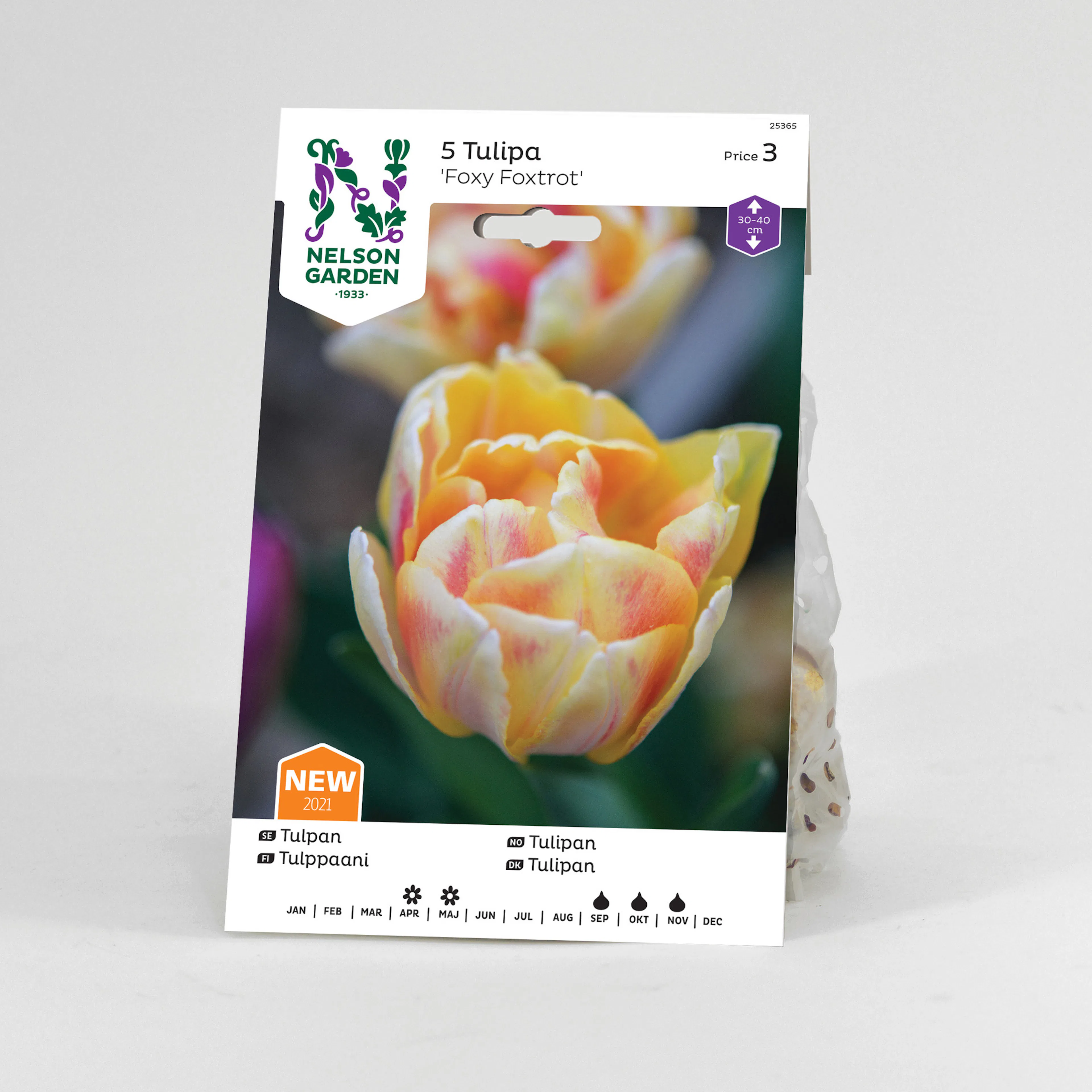 Tulpan Nelson Garden Tidig Fylld Foxy Foxtrot