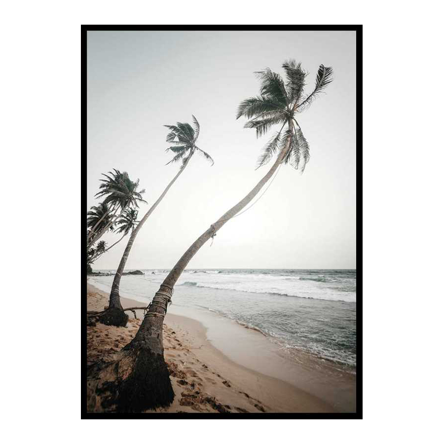 Beach Palm Trees 50x70 cm