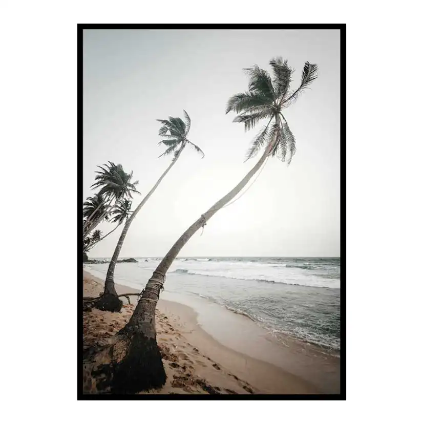 Beach Palm Trees 50x70 cm