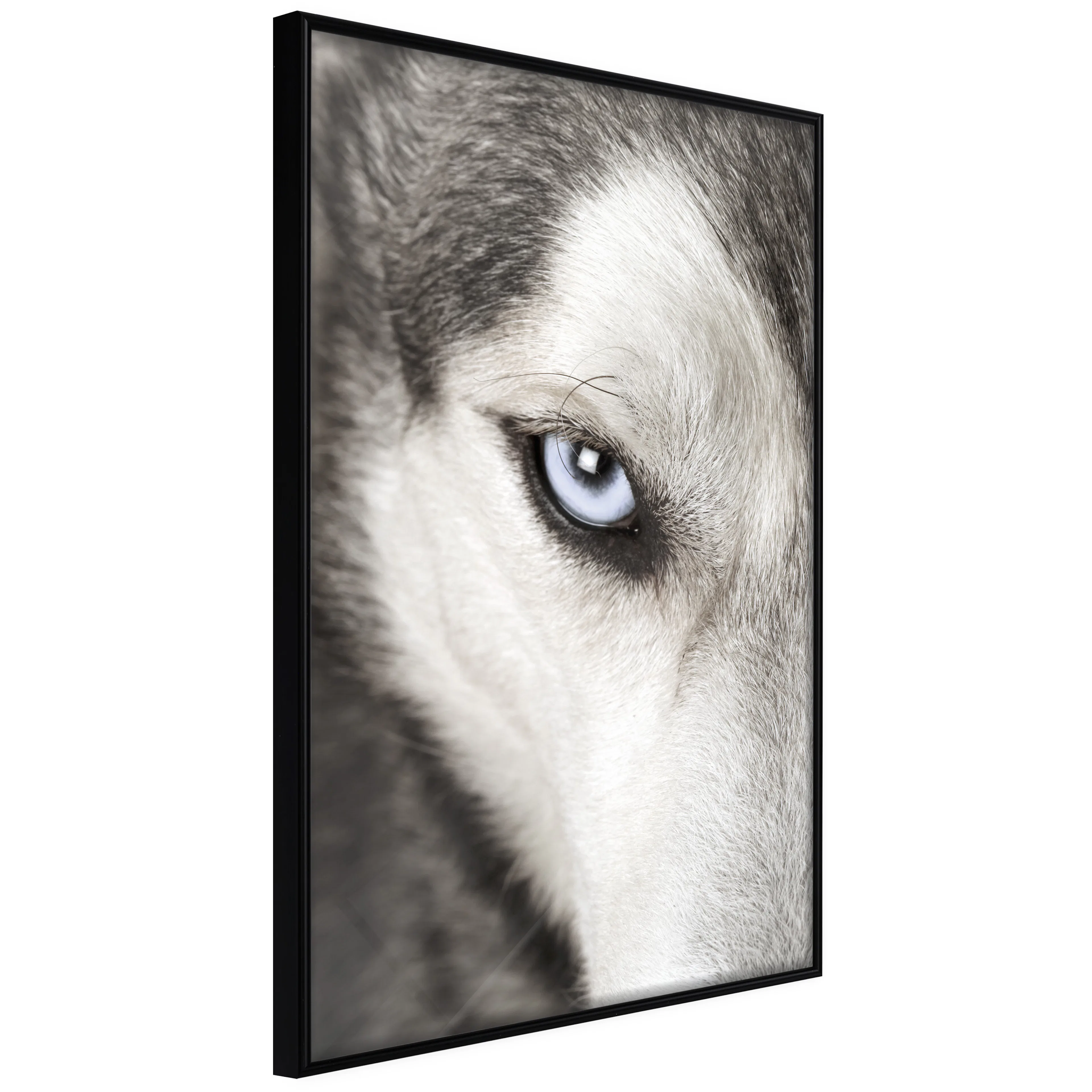 Poster Artgeist Affisch Dog's Look