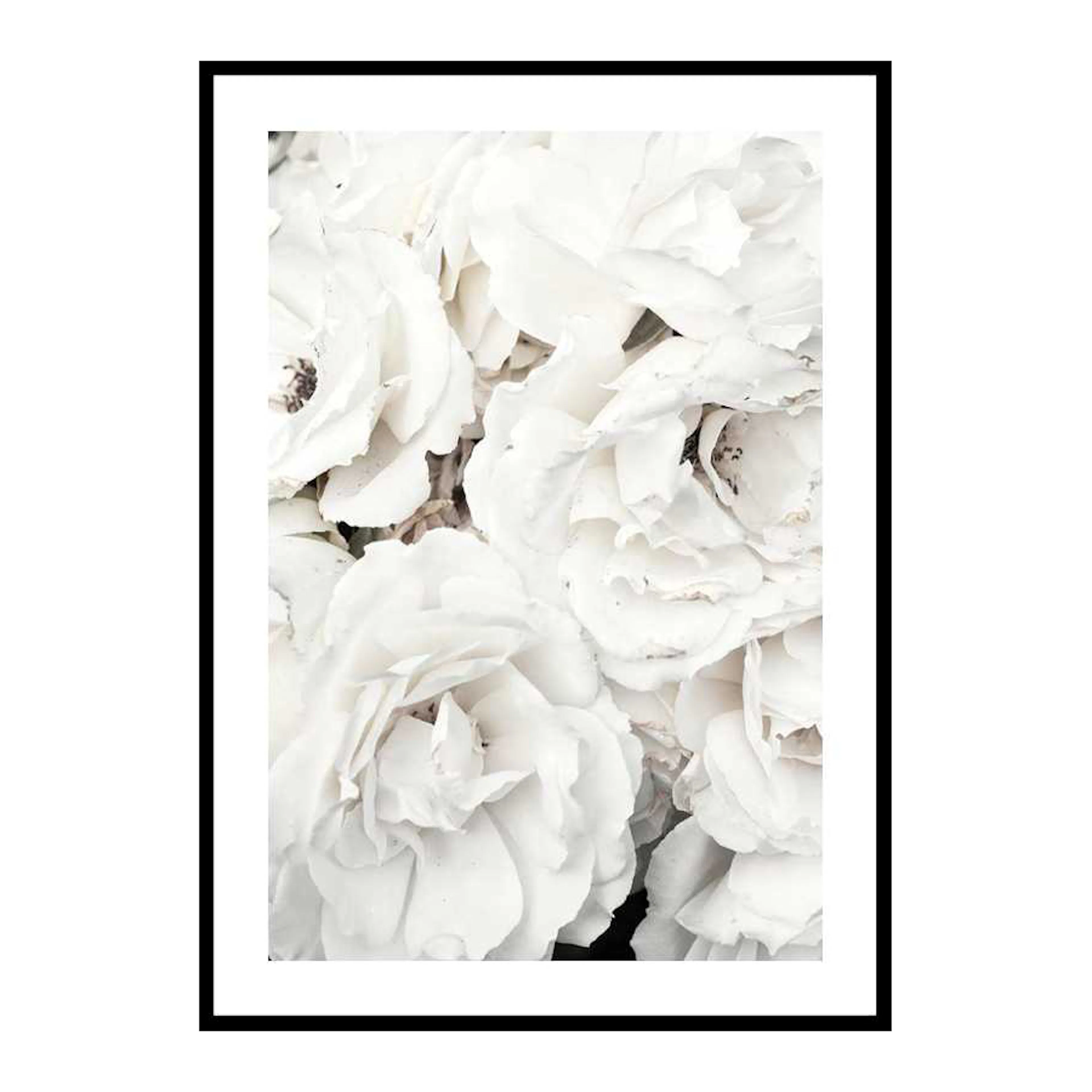 Poster Gallerix Bouquet Of White Peonies