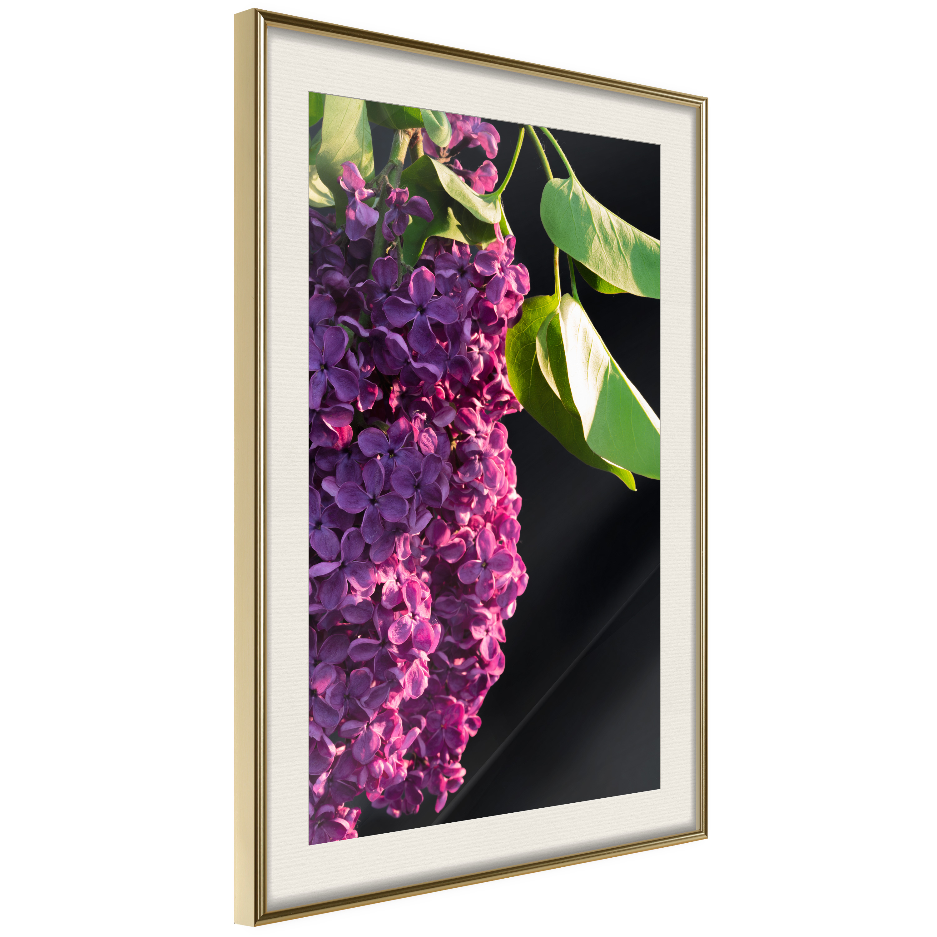Affisch - Colours of Spring [Poster] 40x60 Guld ram med passepartout, 40x60 cm