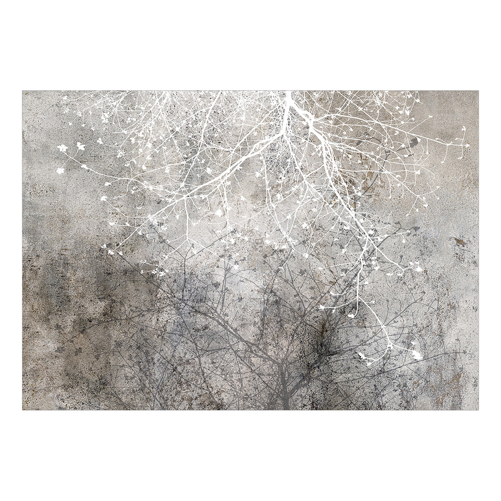 Självhäftande fototapet - Clear Branching 147x105 Storlek: 147x105 cm