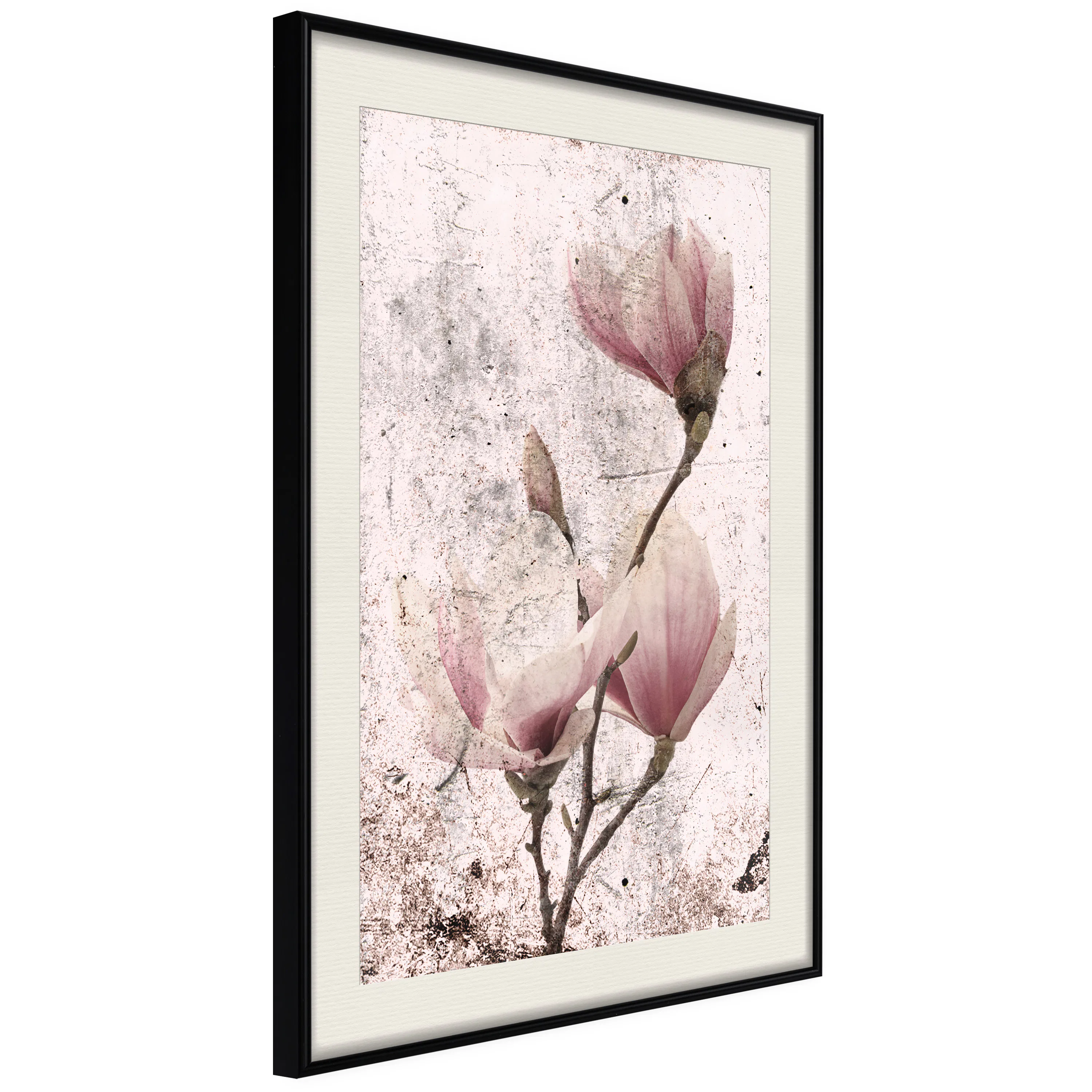Poster Artgeist Affisch Mature Magnolia