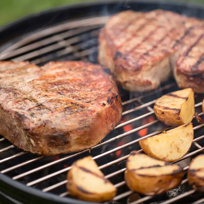 Kolgrill Weber Smokey Joe Klotgrill Premium