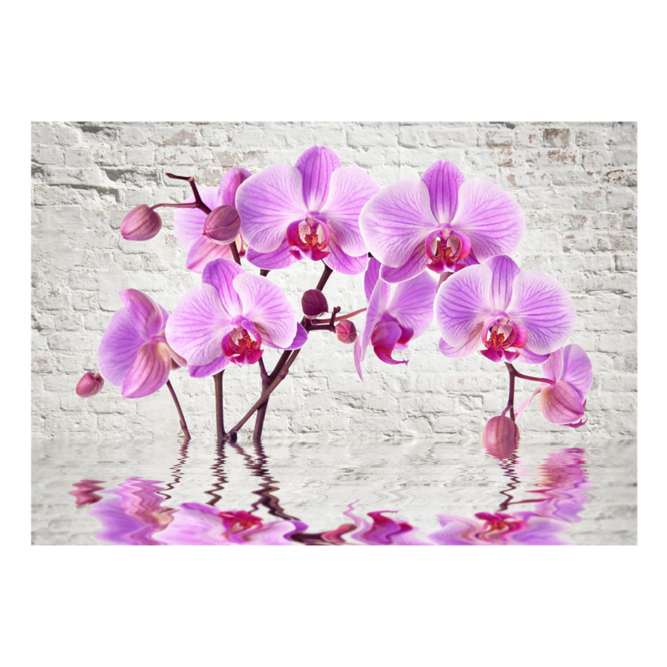 Fototapet Arkiio Purple Delight