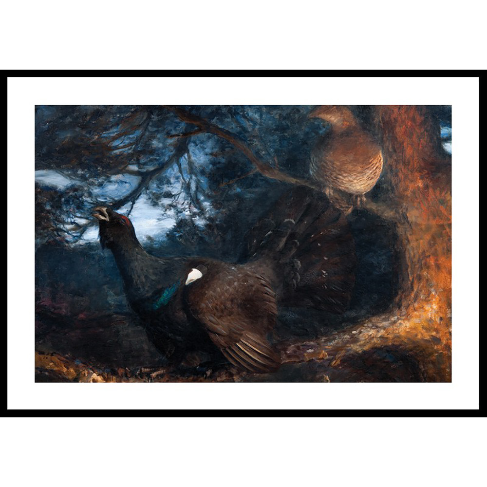 Poster Gallerix The Mating of the Capercaillies By Bruno Liljefors