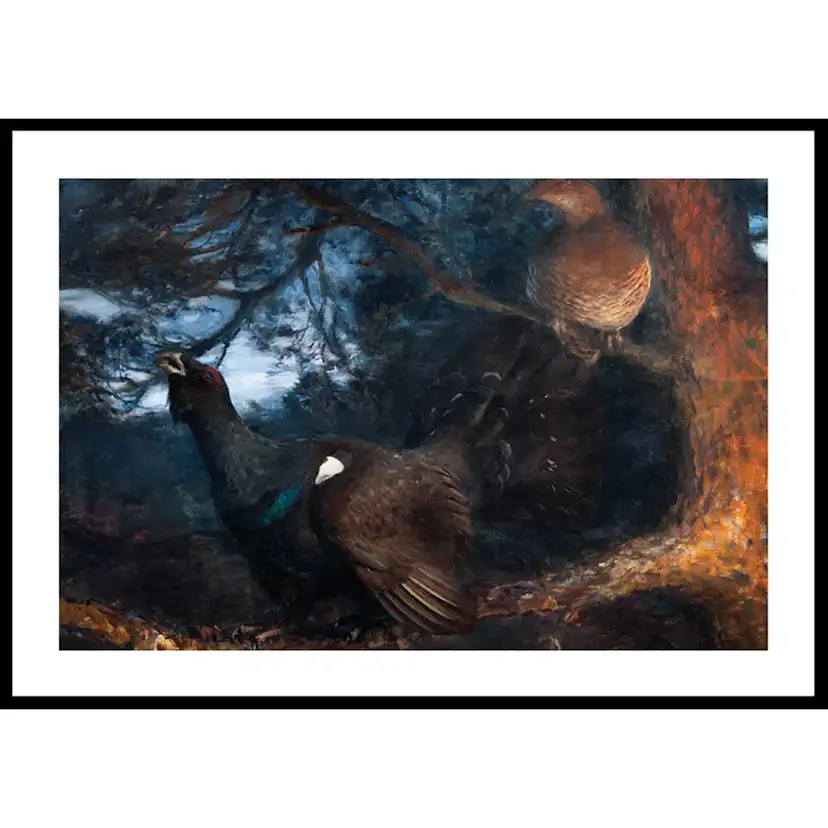 Poster Gallerix The Mating of the Capercaillies By Bruno Liljefors