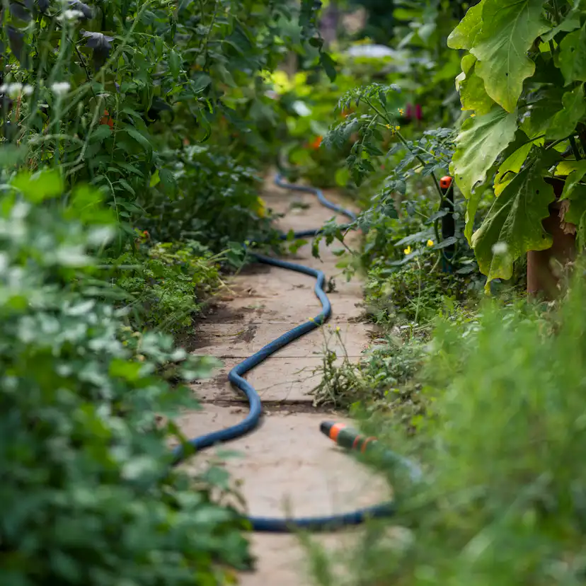 Textilslang Liano™ Xtreme 20 m Set med strålmunstycke