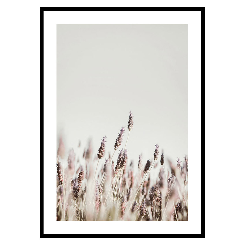 Poster Gallerix Dried Plants No2