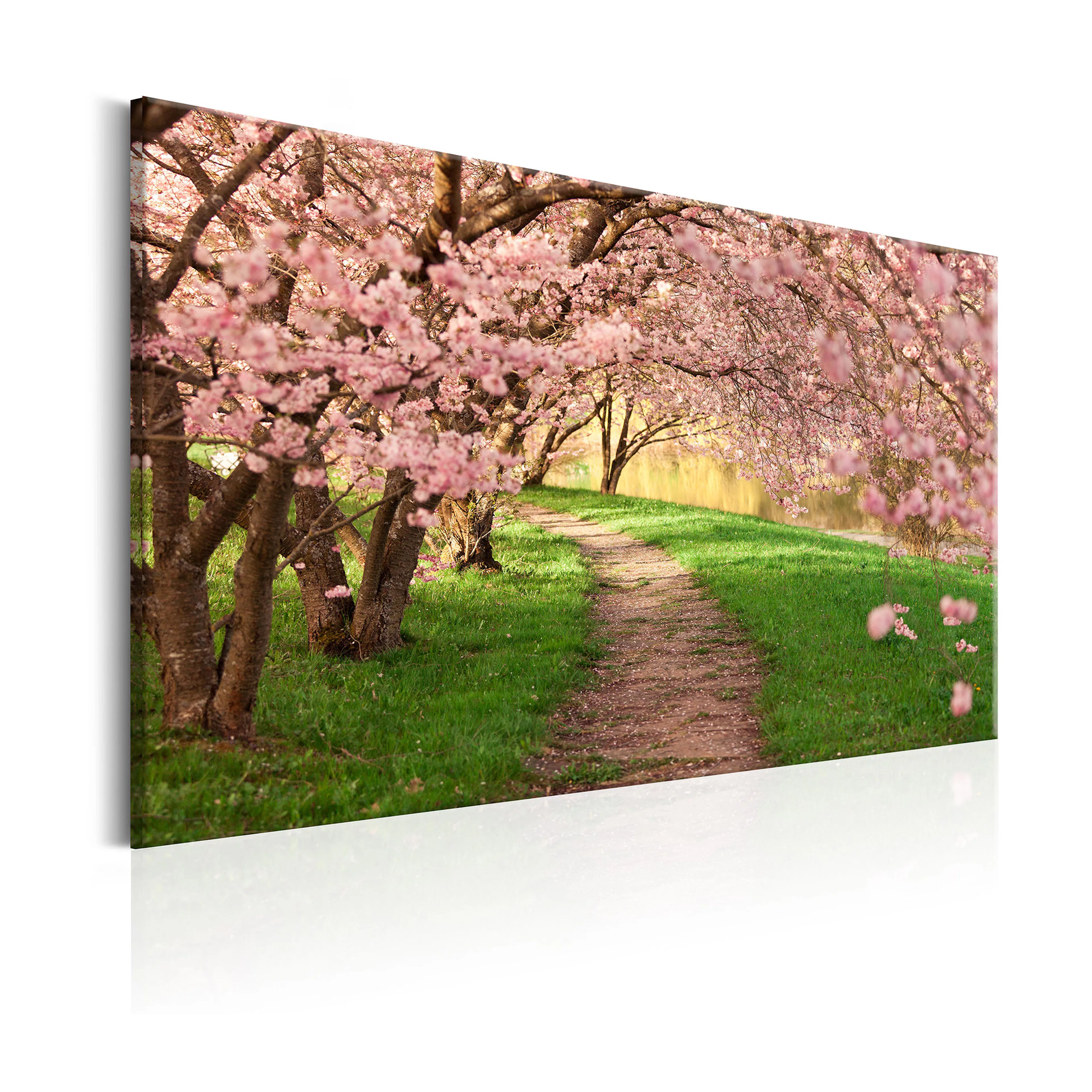 Tavla Arkiio Lovers Path