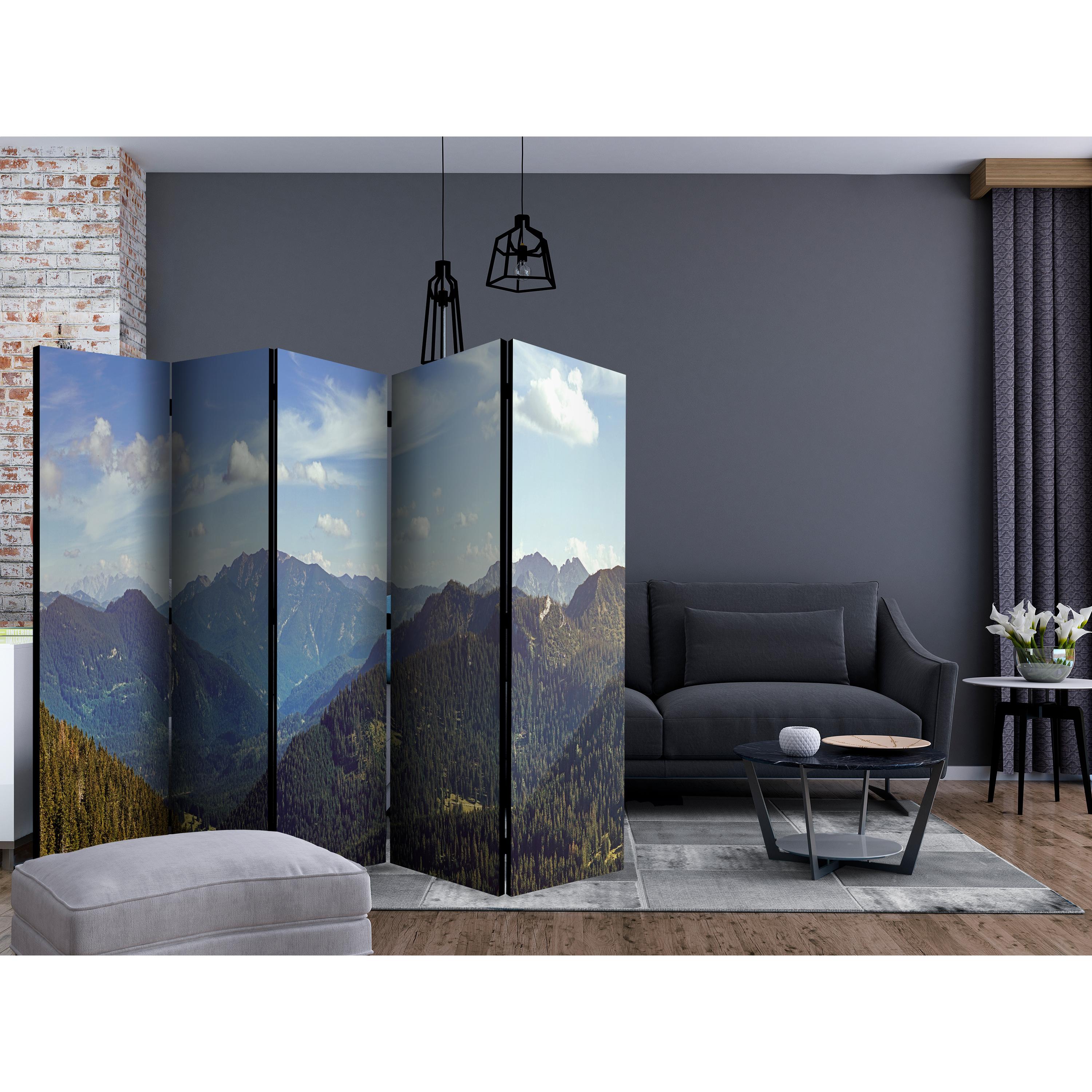 Rumsavdelare Arkiio Mountains’ Magic II 225x172 cm