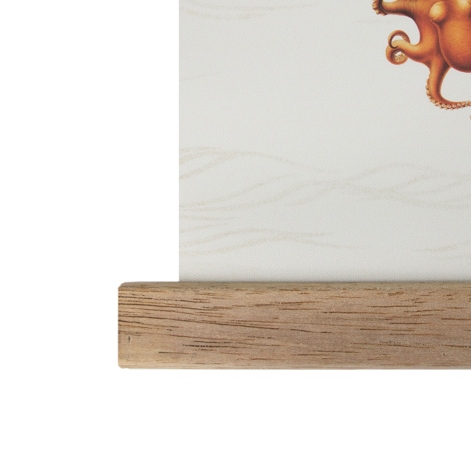 Hängande Affisch Art for the Home World Map Animals 70x100