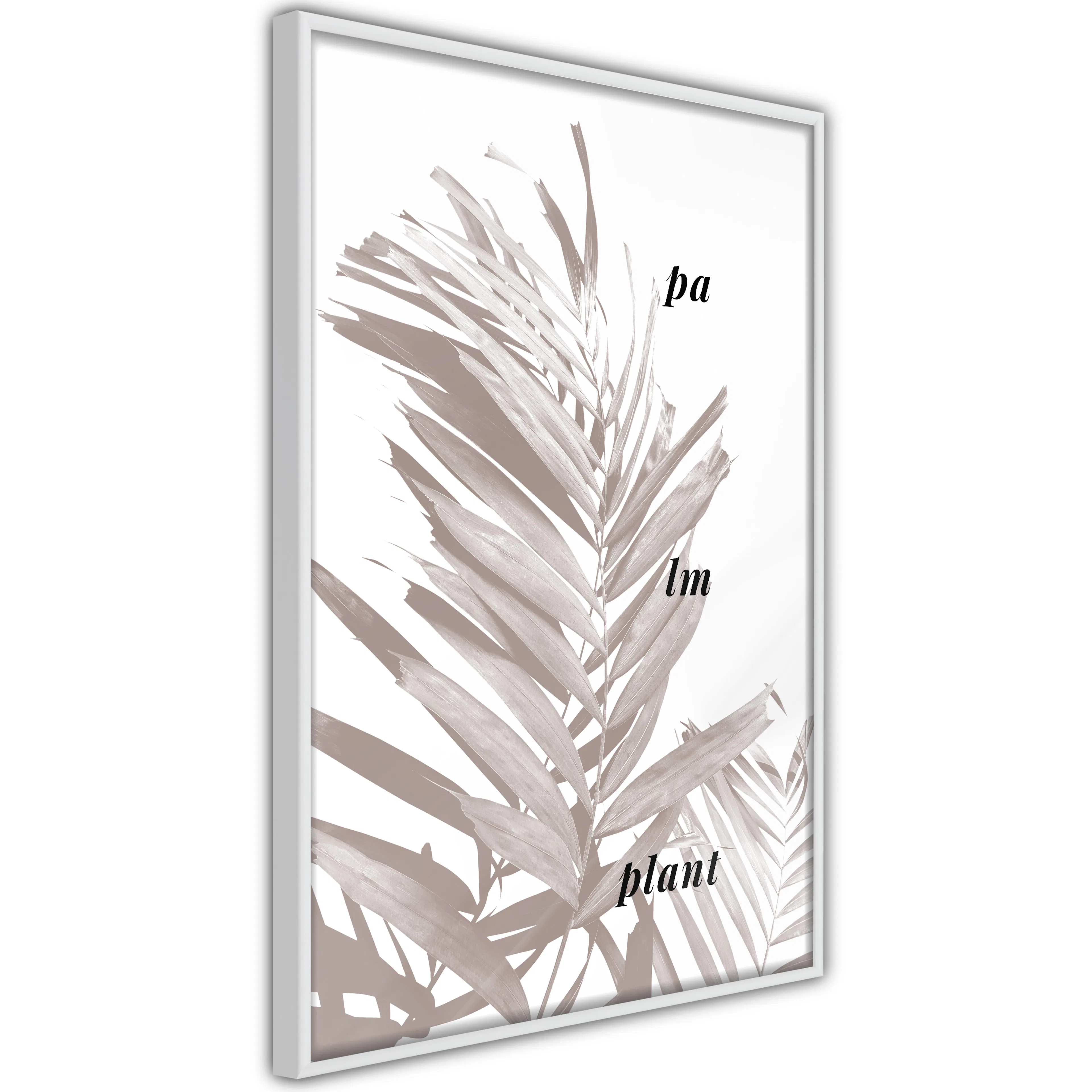 Poster Artgeist Affisch Palm Plant