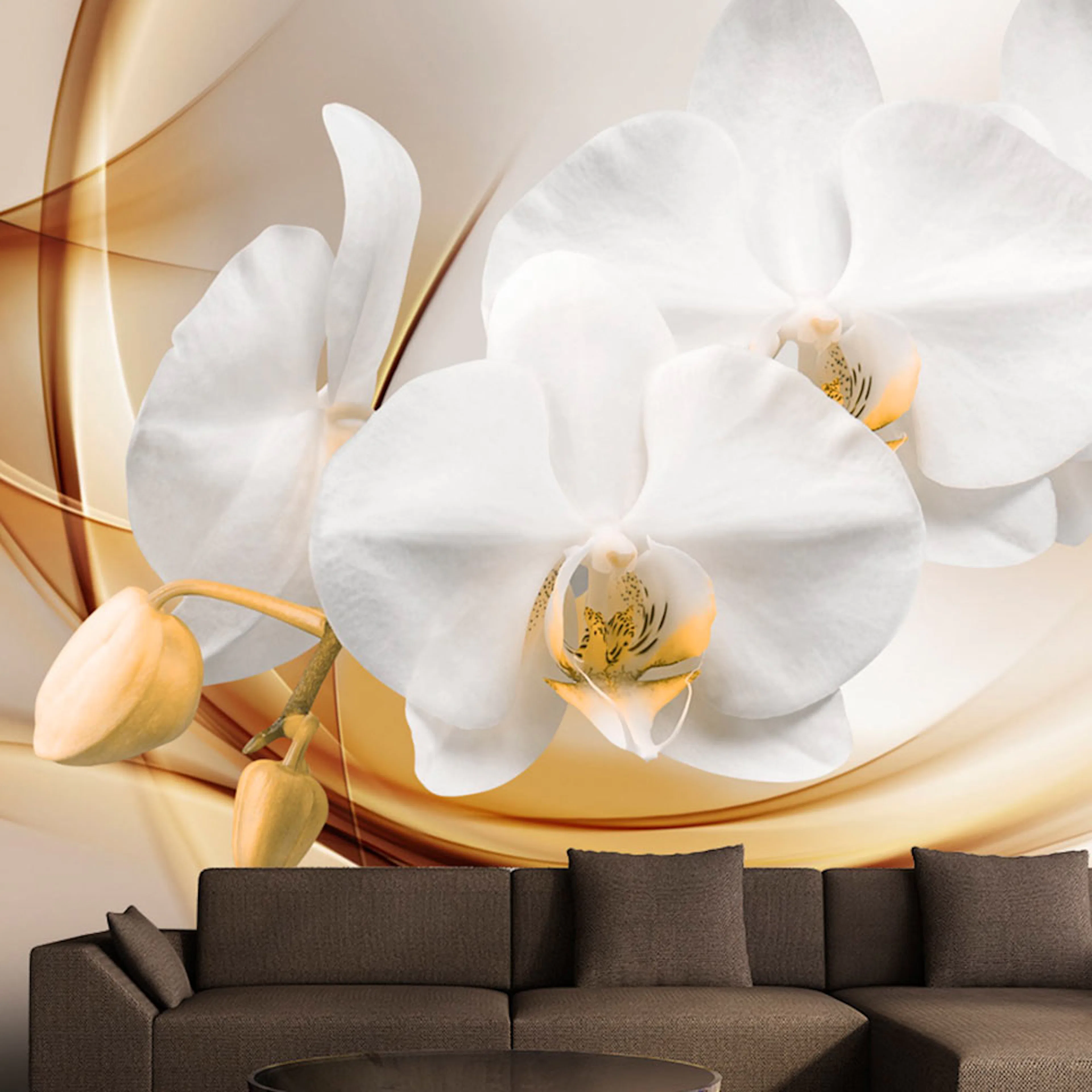 Fototapet Arkiio Orchid Blossom