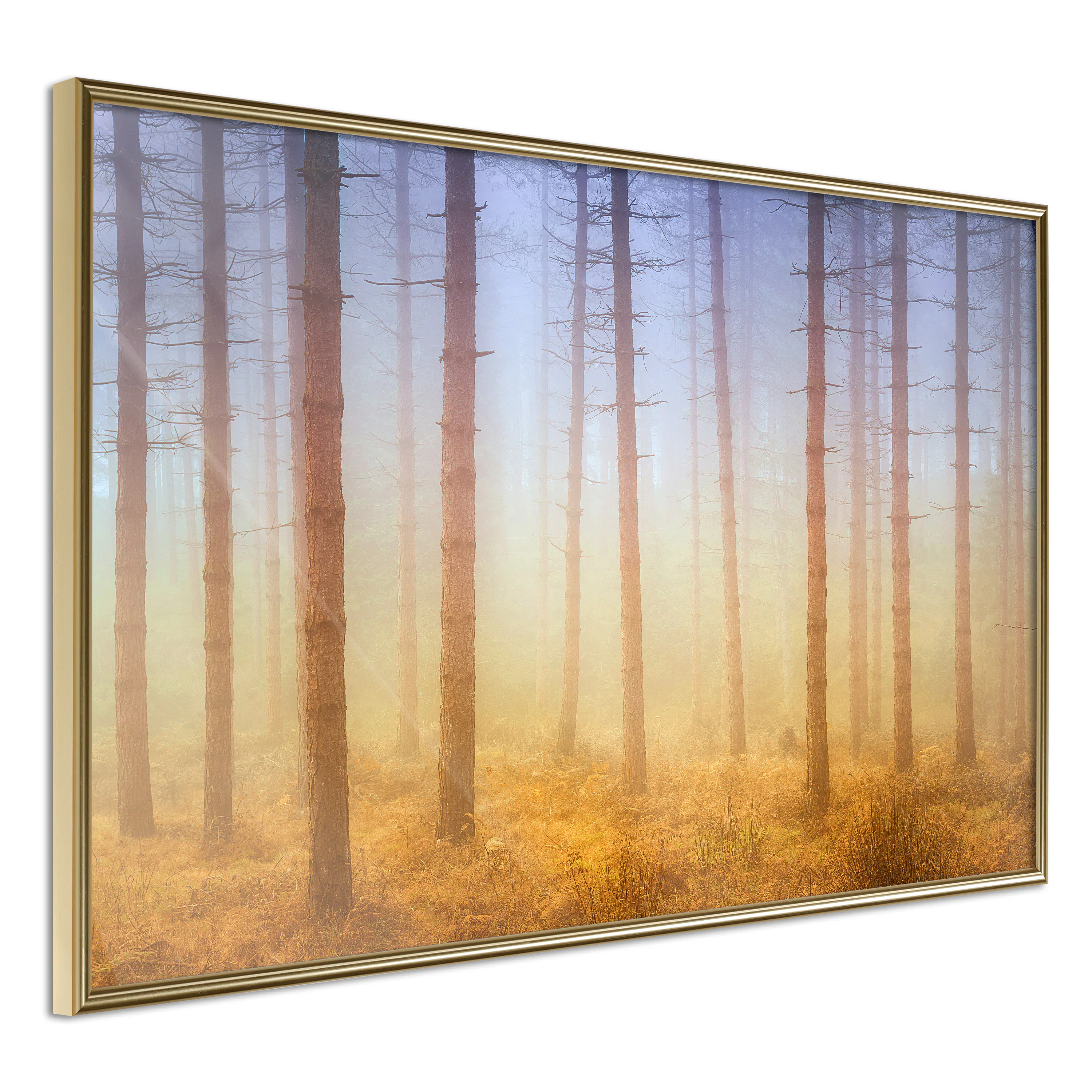Poster Artgeist Affisch Foggy Forest