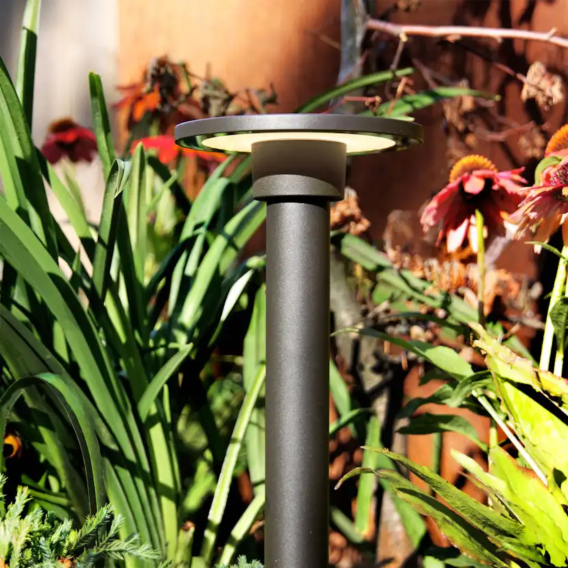 Pollare LightsOn Orbit