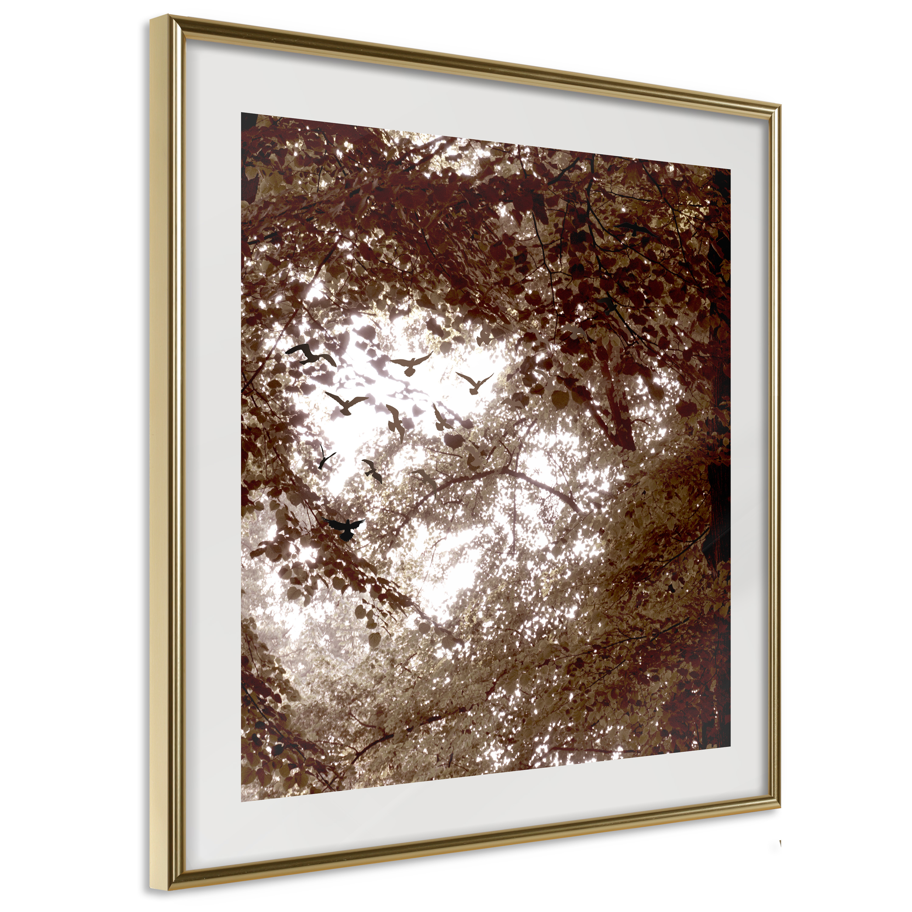 Affisch - Freedom [Poster] 50x50 Guld ram, 50x50 cm