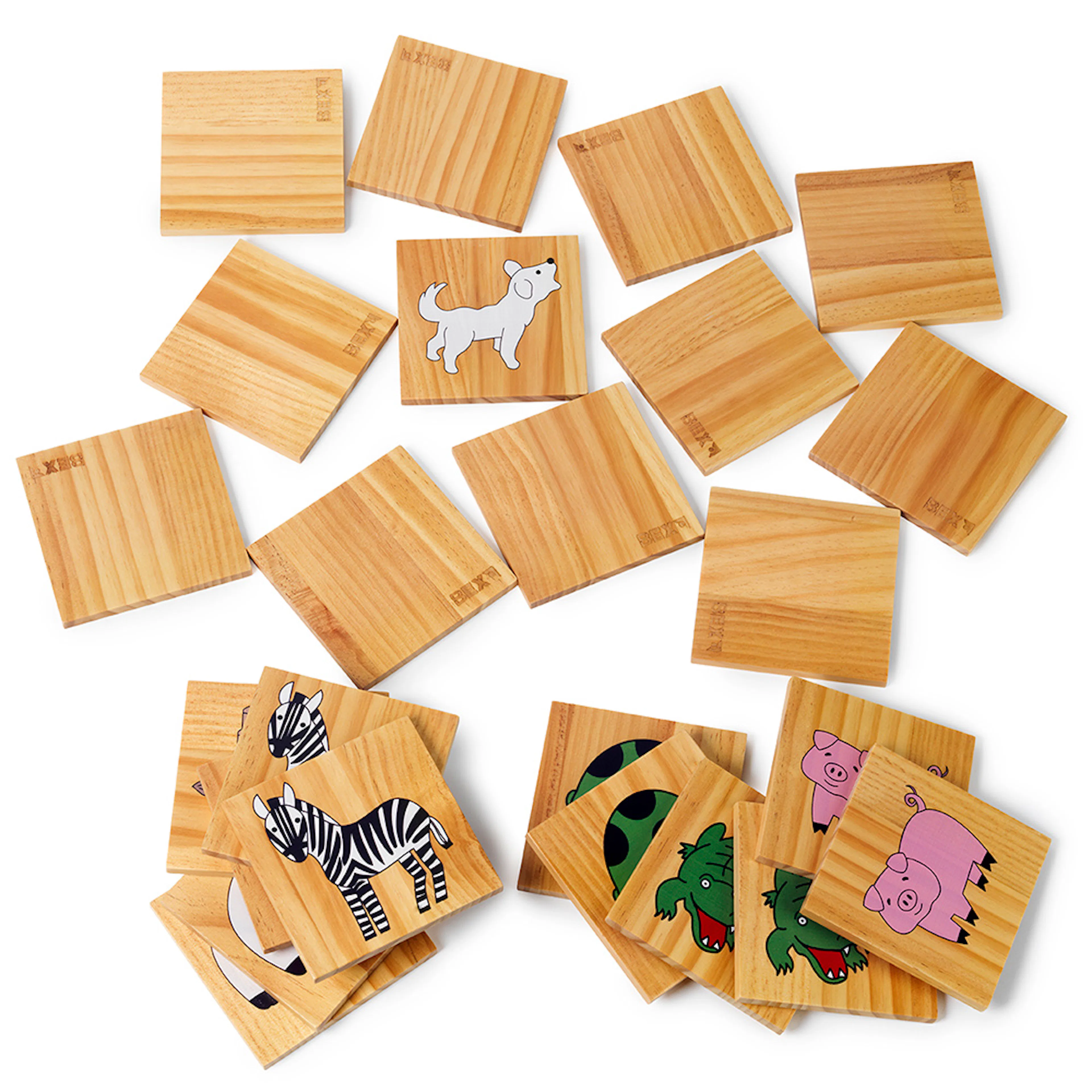 Memory Bex Family Set