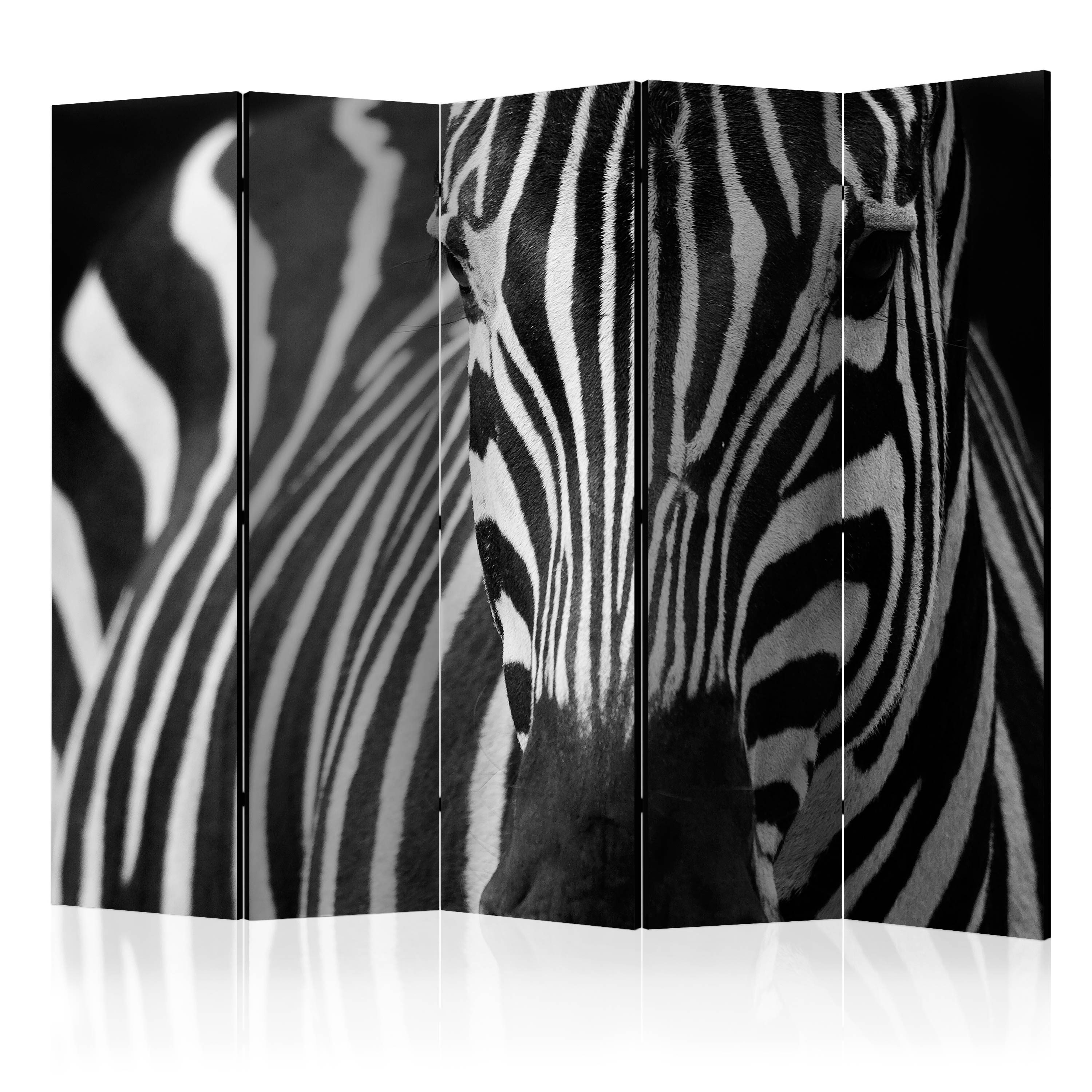 Rumsavdelare Arkiio White With Black Stripes II 225x172 cm