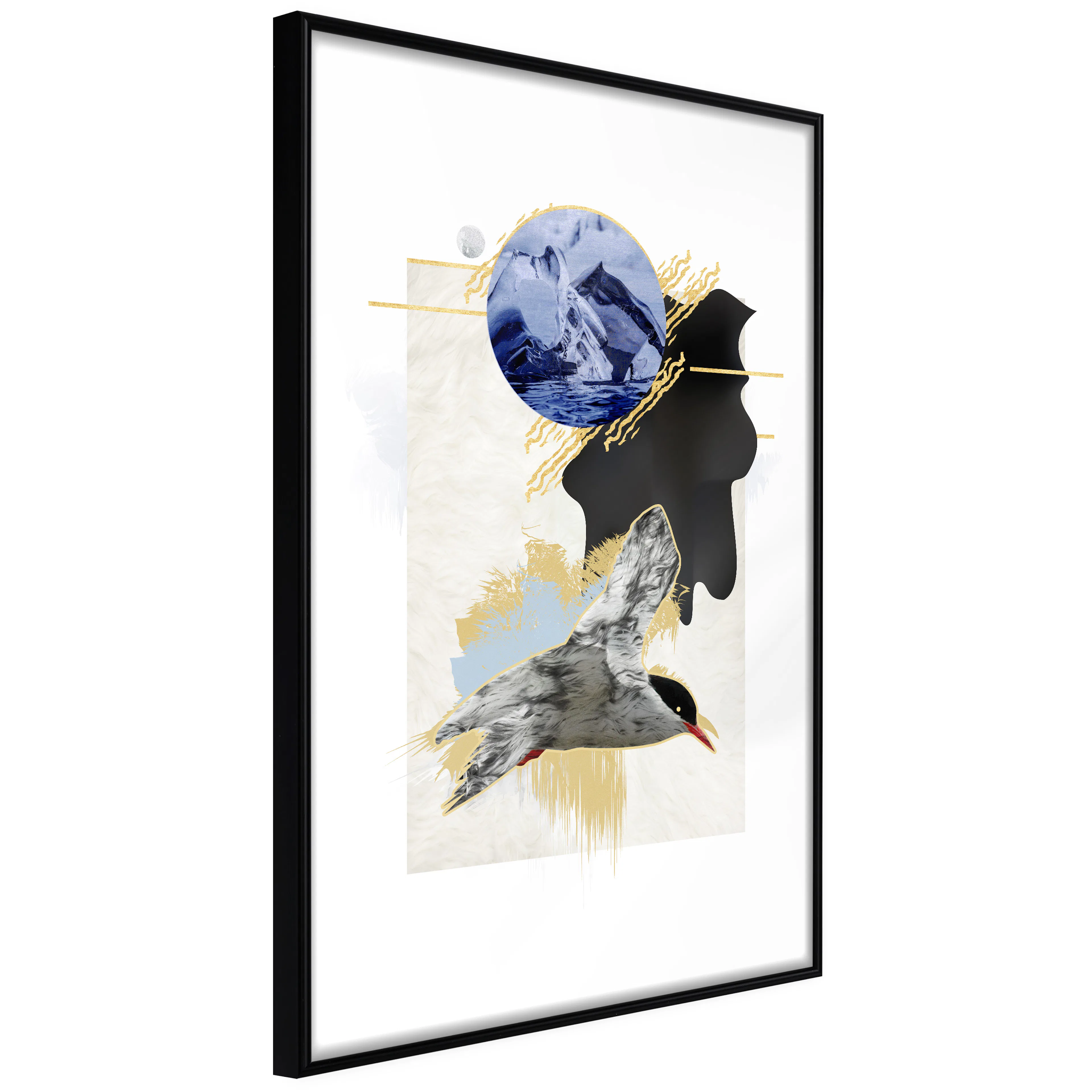Affisch - Antarctic Tern [Poster] 20x30 Svart ram, 20x30 cm