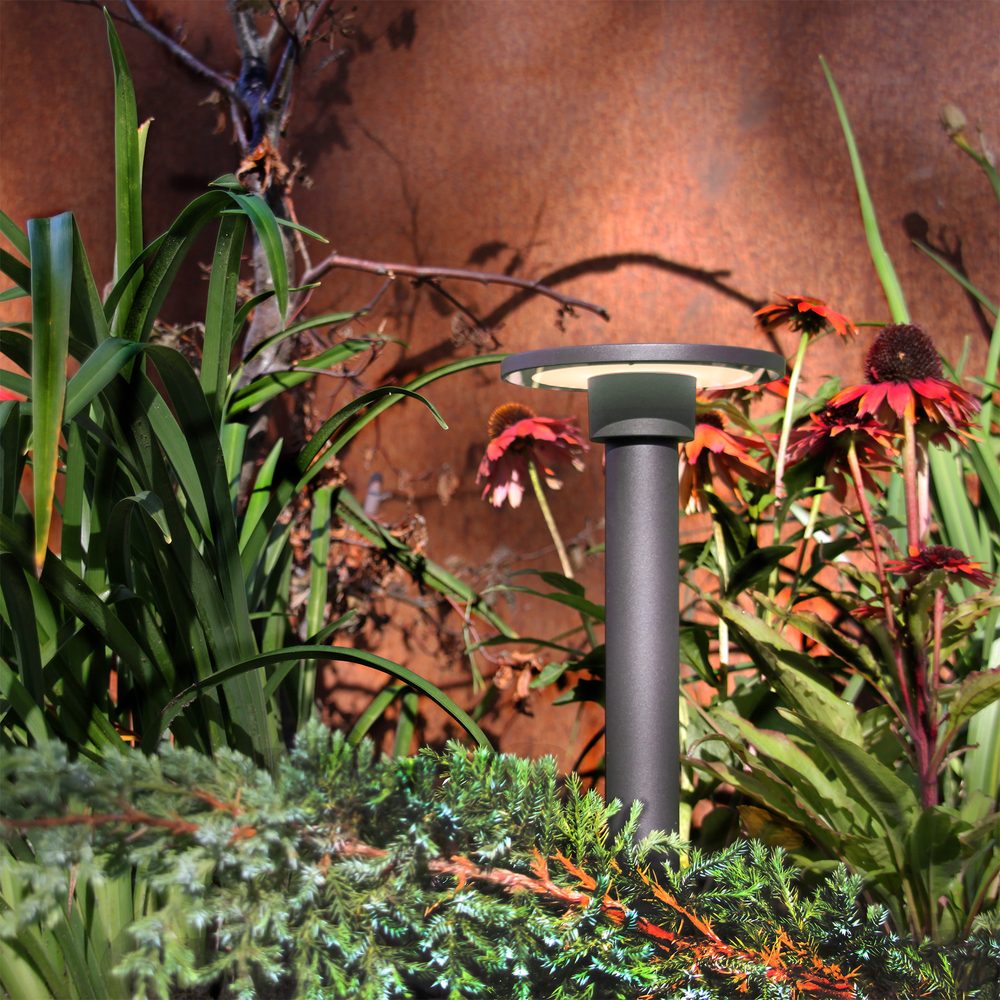 Pollare LightsOn Orbit