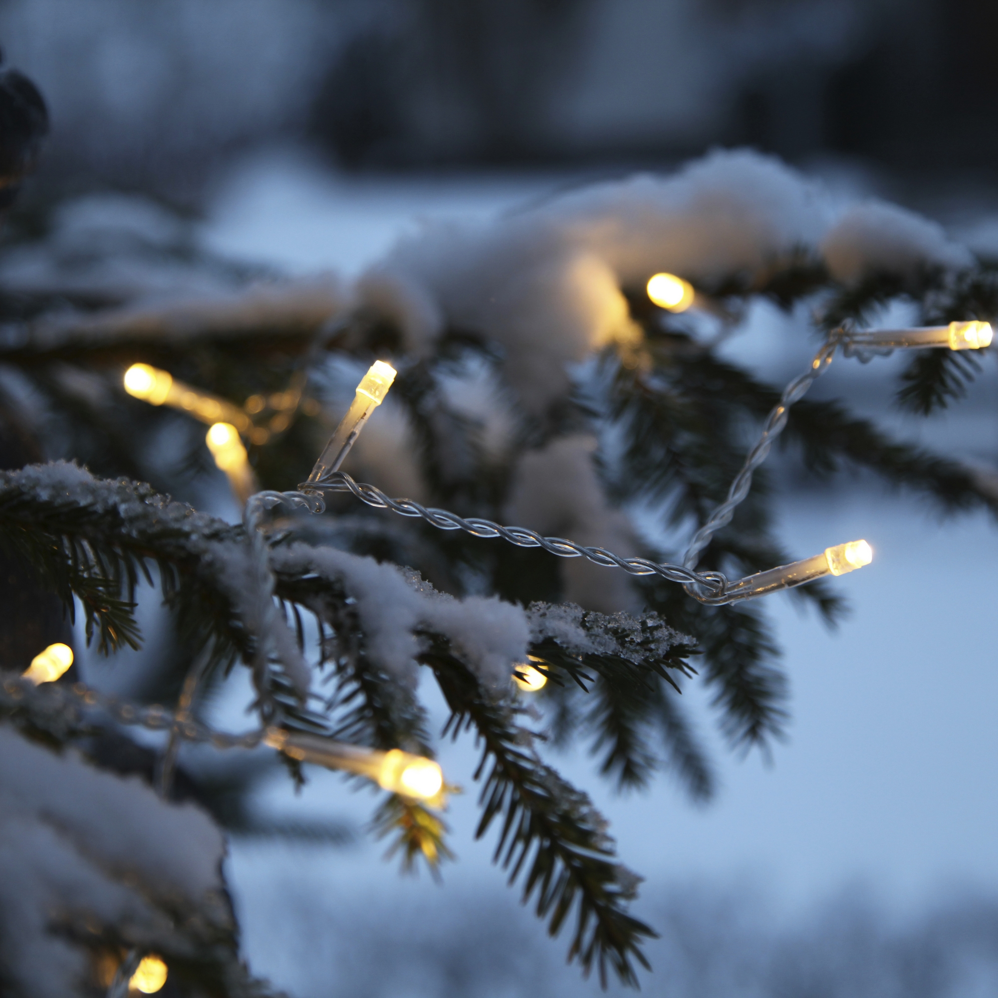 Ljusslinga Star Trading Serie LED Transparent