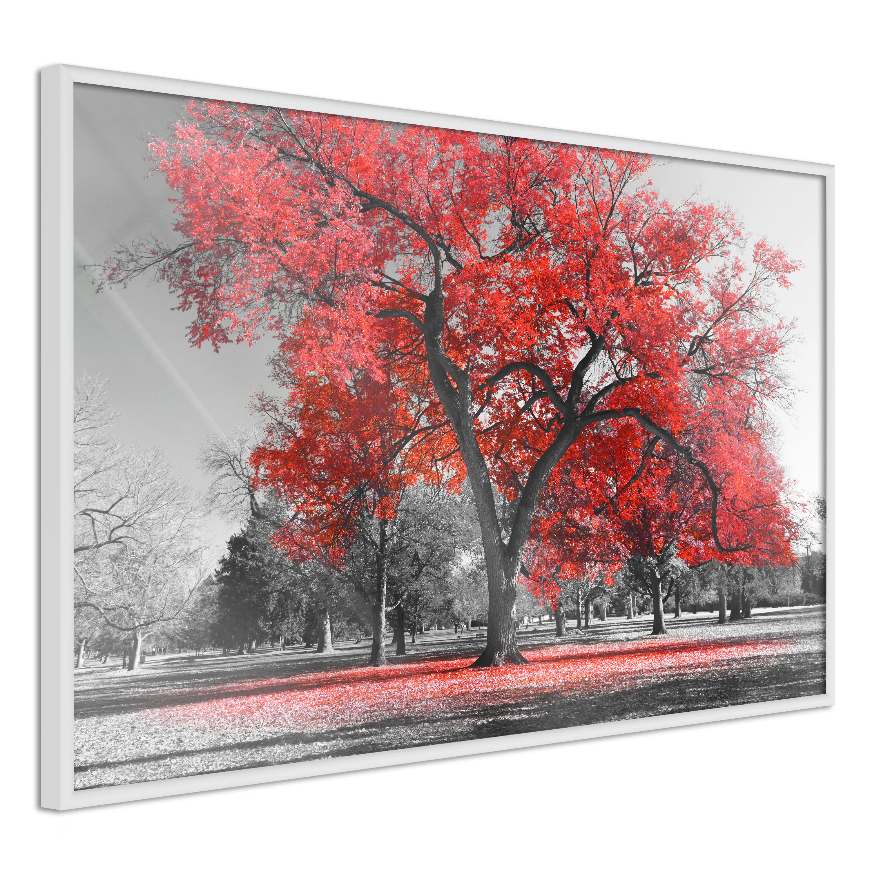 Poster Artgeist Affisch Autumn in the Park Red