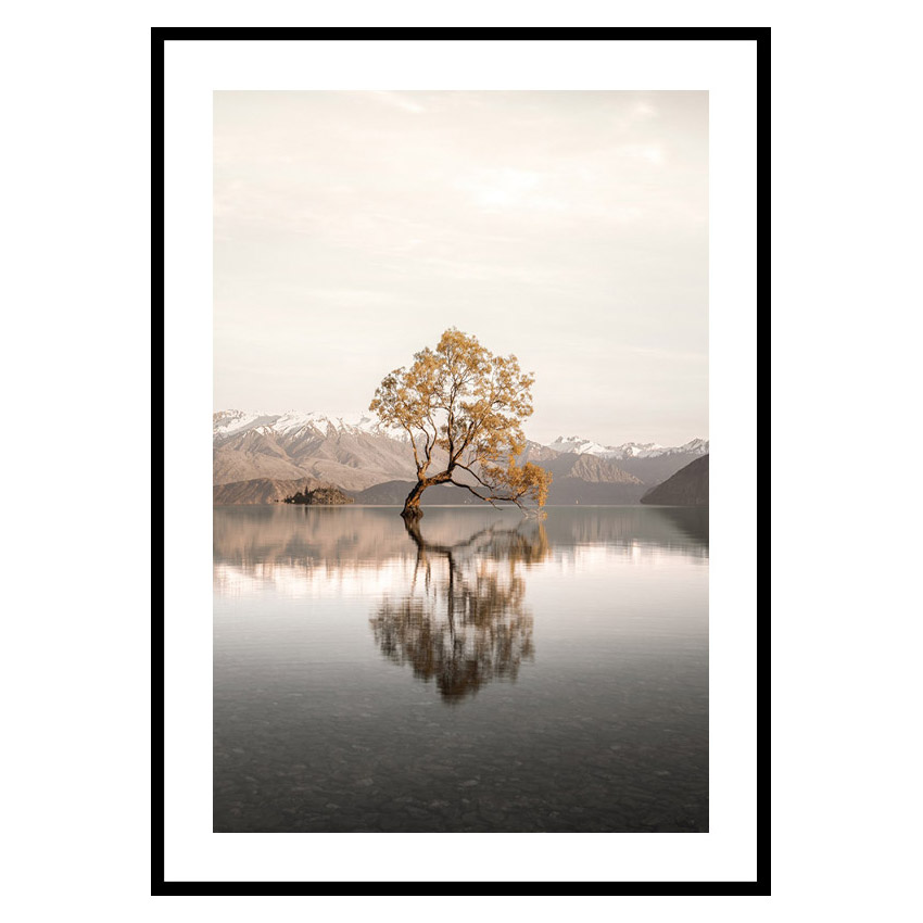 Poster Gallerix The Lonely Tree