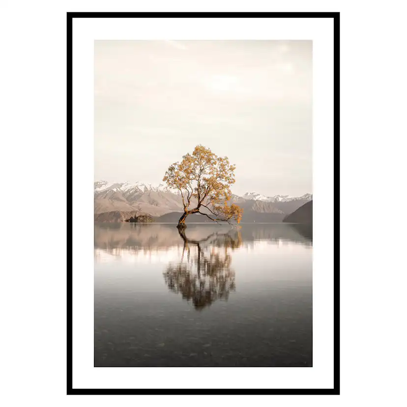 Poster Gallerix The Lonely Tree