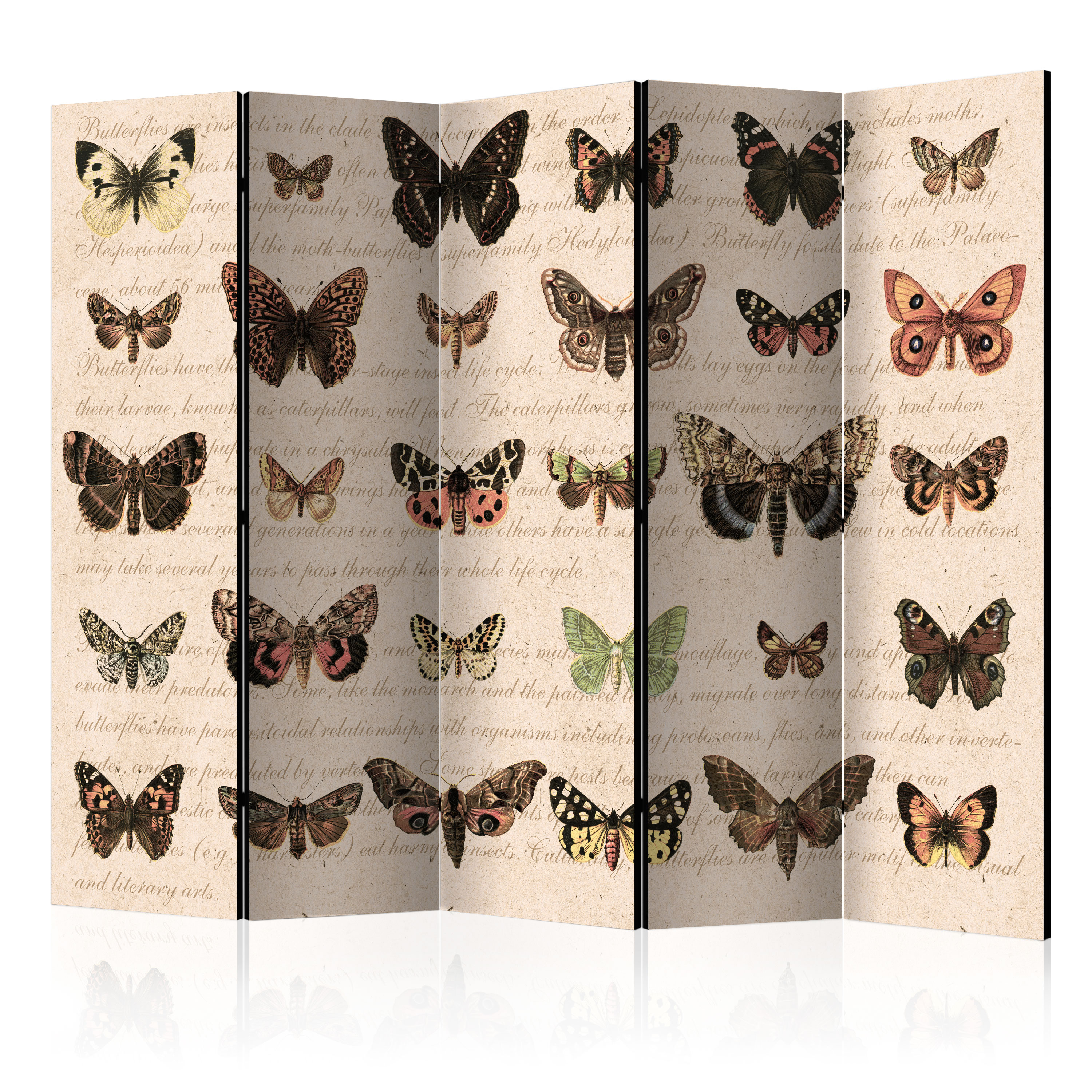 Rumsavdelare Arkiio Retro Style: Butterflies II 225x172 cm