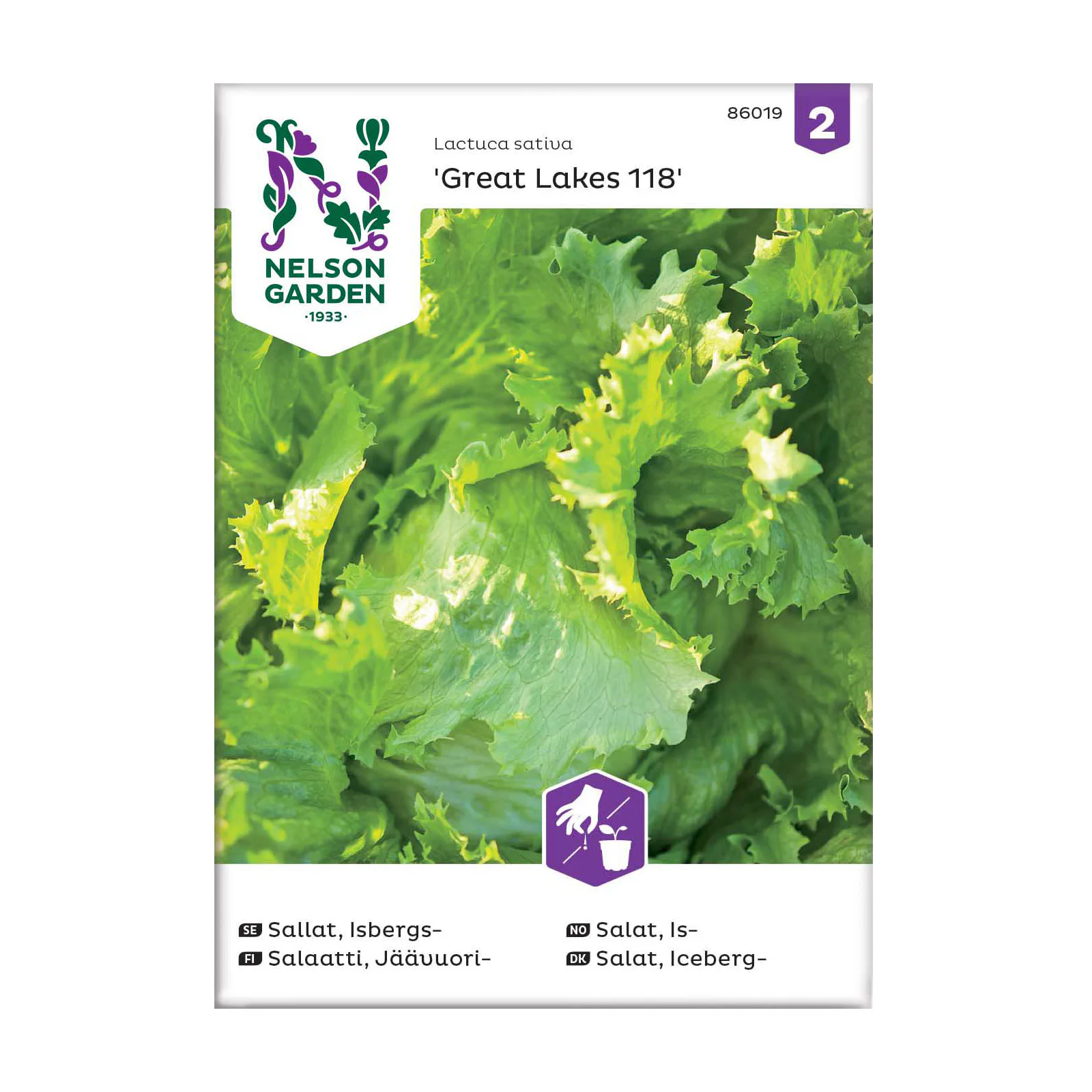 Frö Isbergssallat Nelson Garden Great Lakes 118