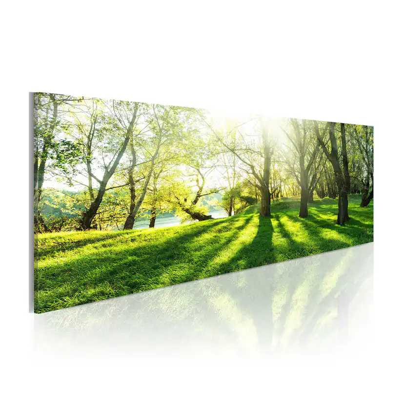 Tavla Arkiio Rays Of Sunshine