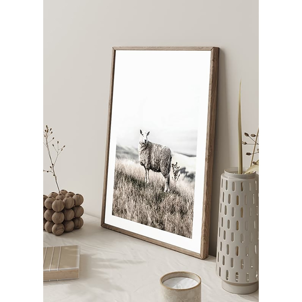 Poster Gallerix White Sheep In Field