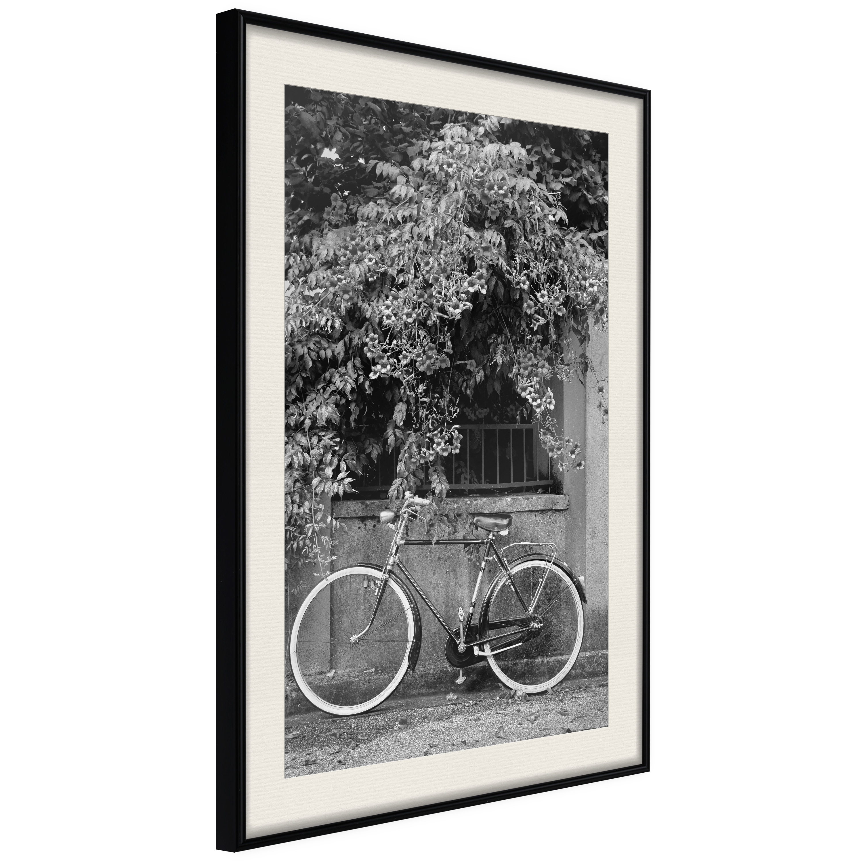 Affisch - Bicycle and Flowers [Poster] 40x60 Svart ram med passepartout, 40x60 cm