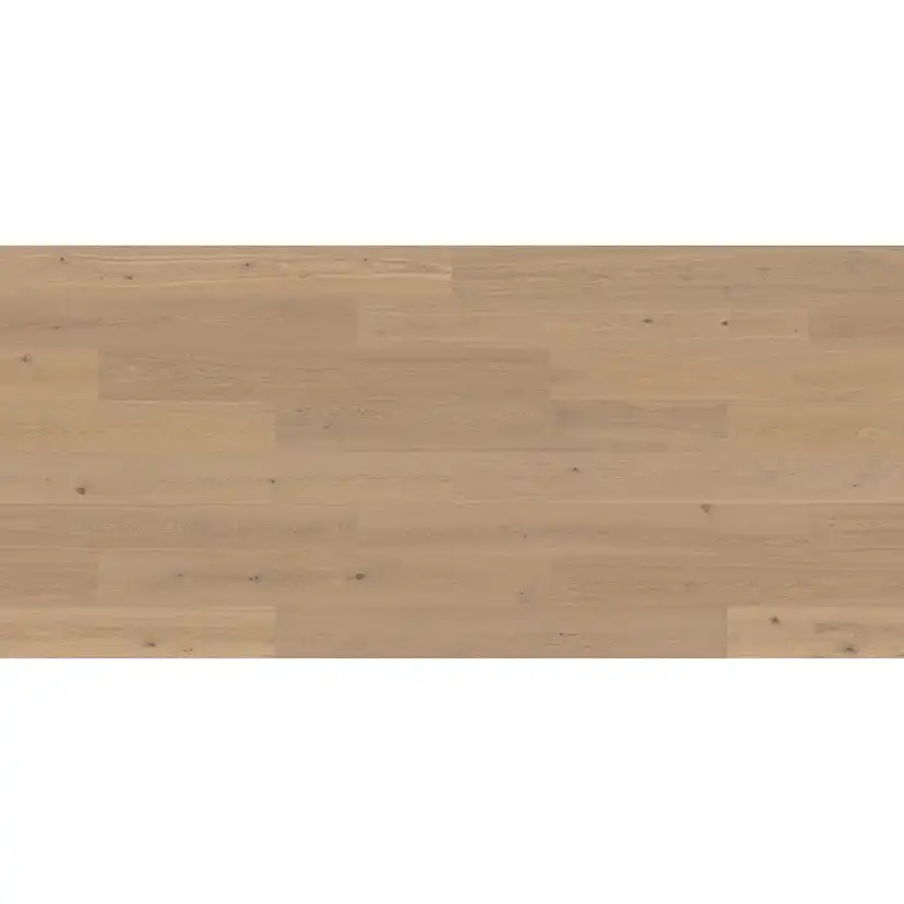 HASSLARP 3.0 XXL