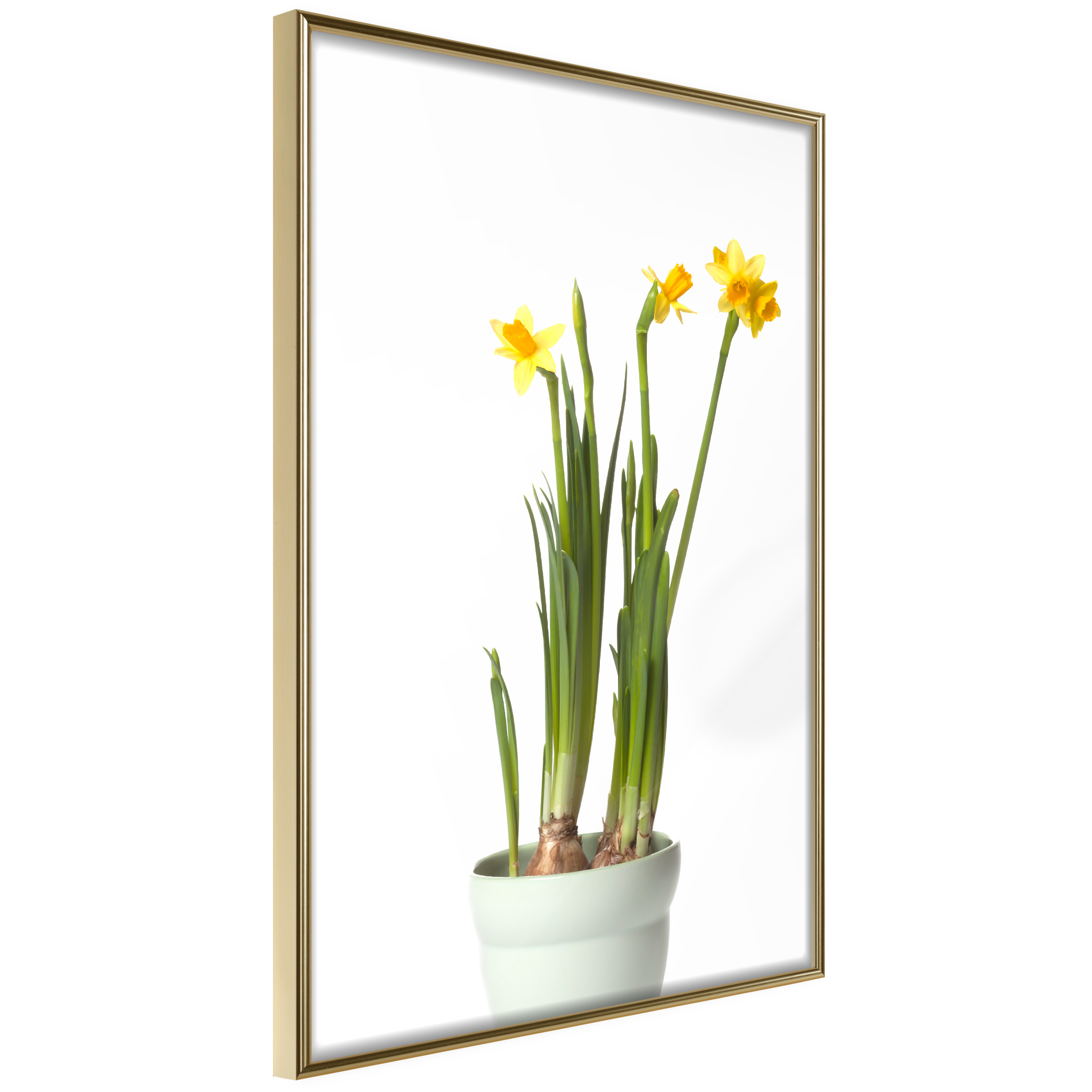 Affisch - Narcissus [Poster] 20x30 Guld ram, 20x30 cm