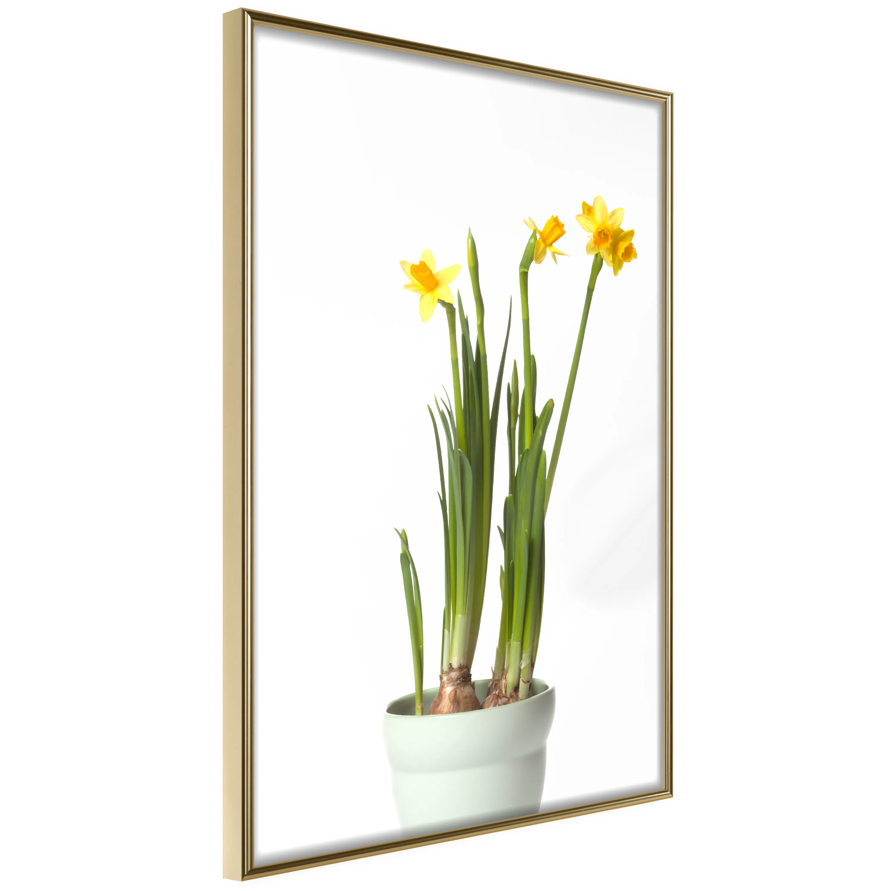 Poster Artgeist Affisch Narcissus